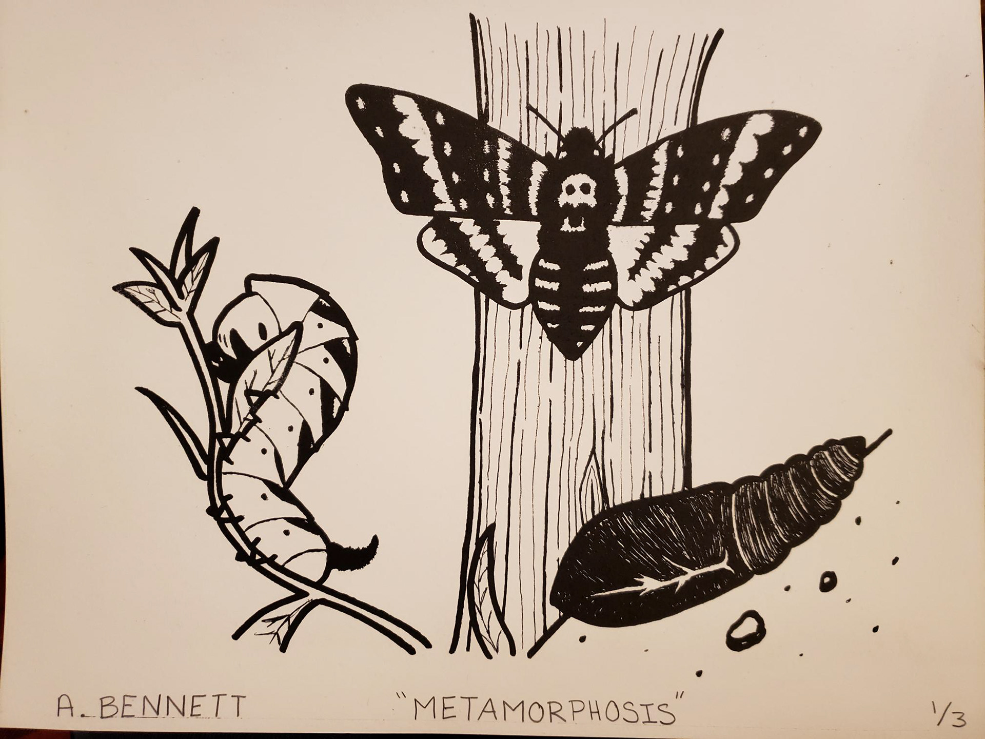 Polyester Lithography