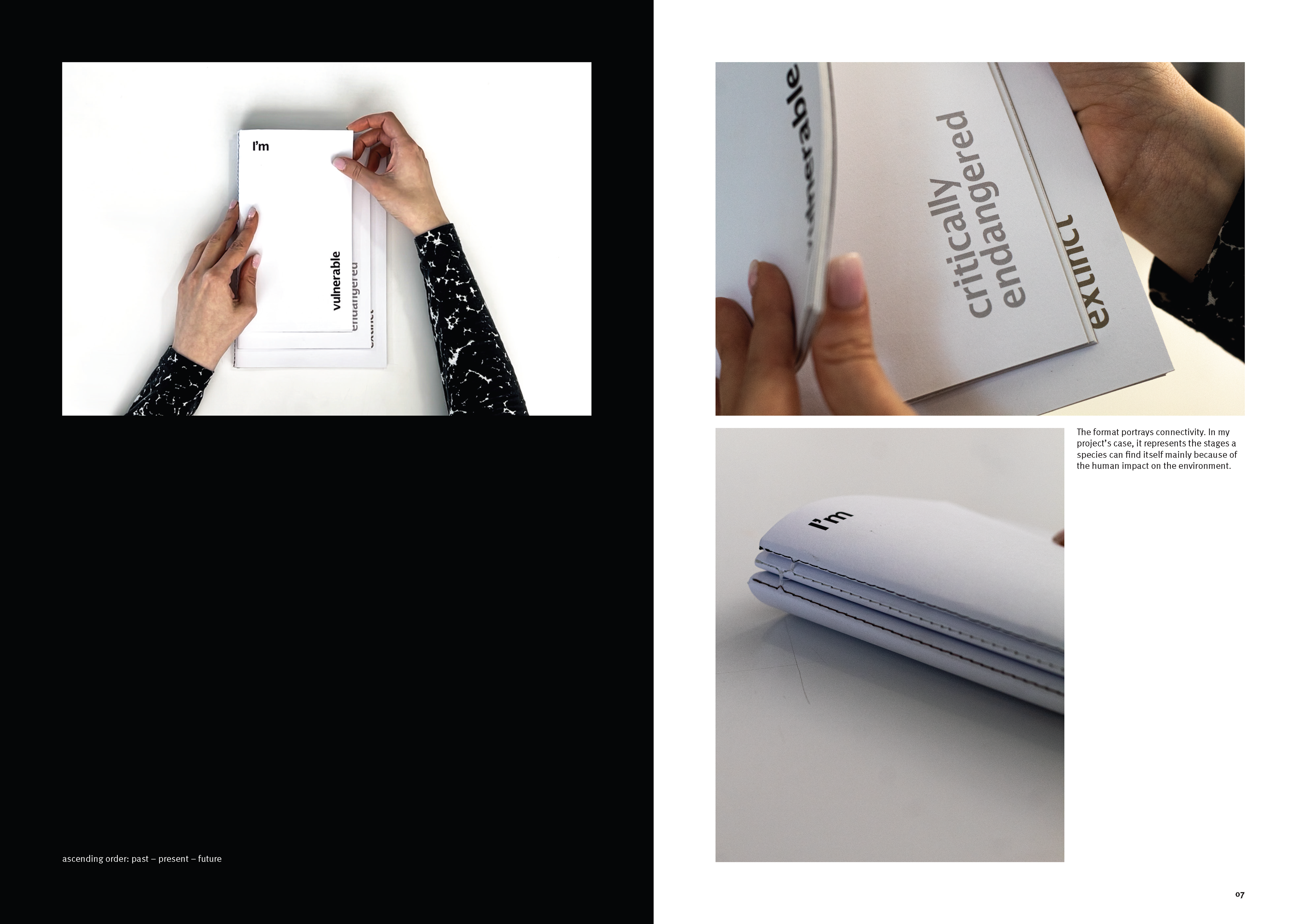 concept and format