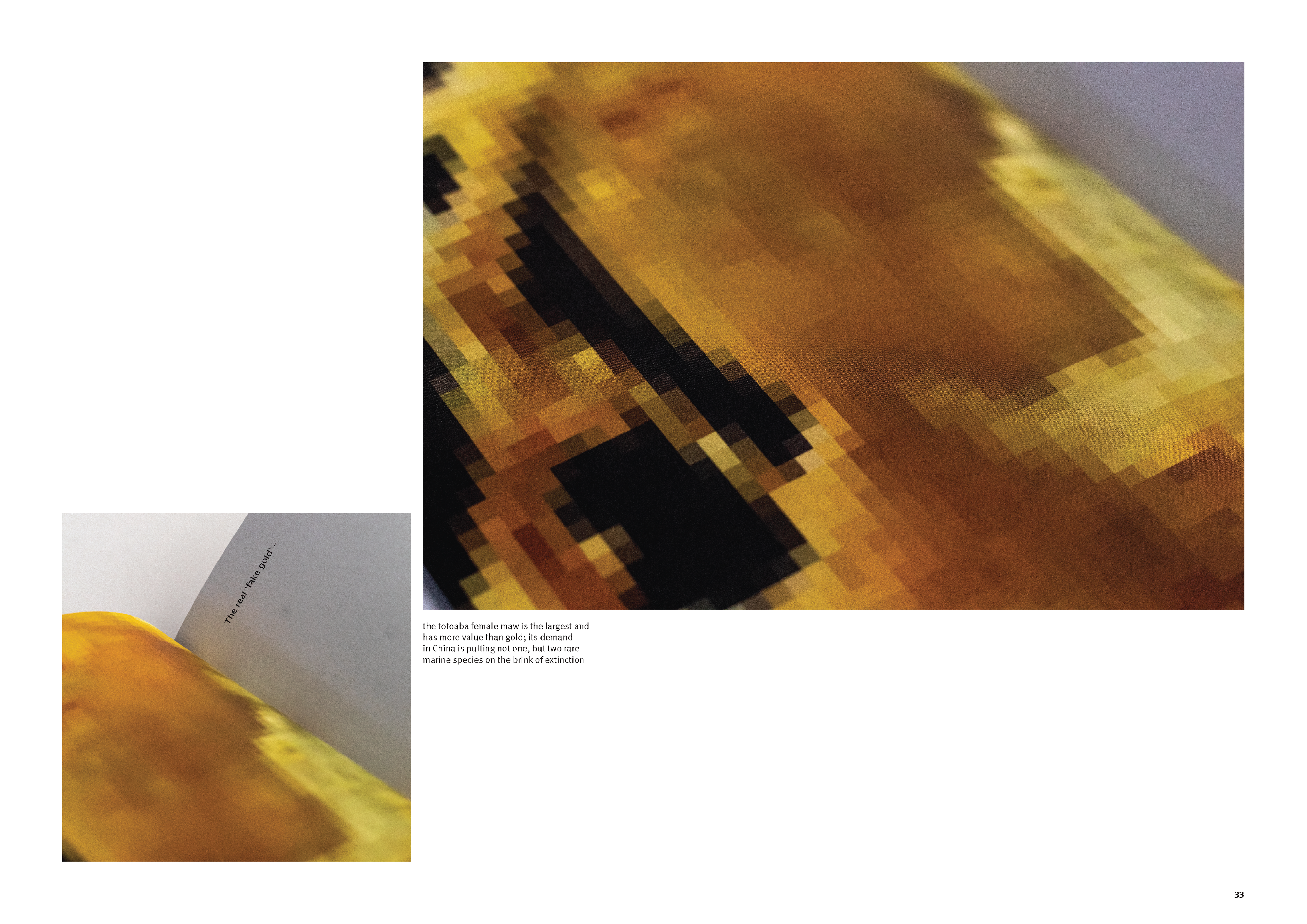 pixel experimentation
