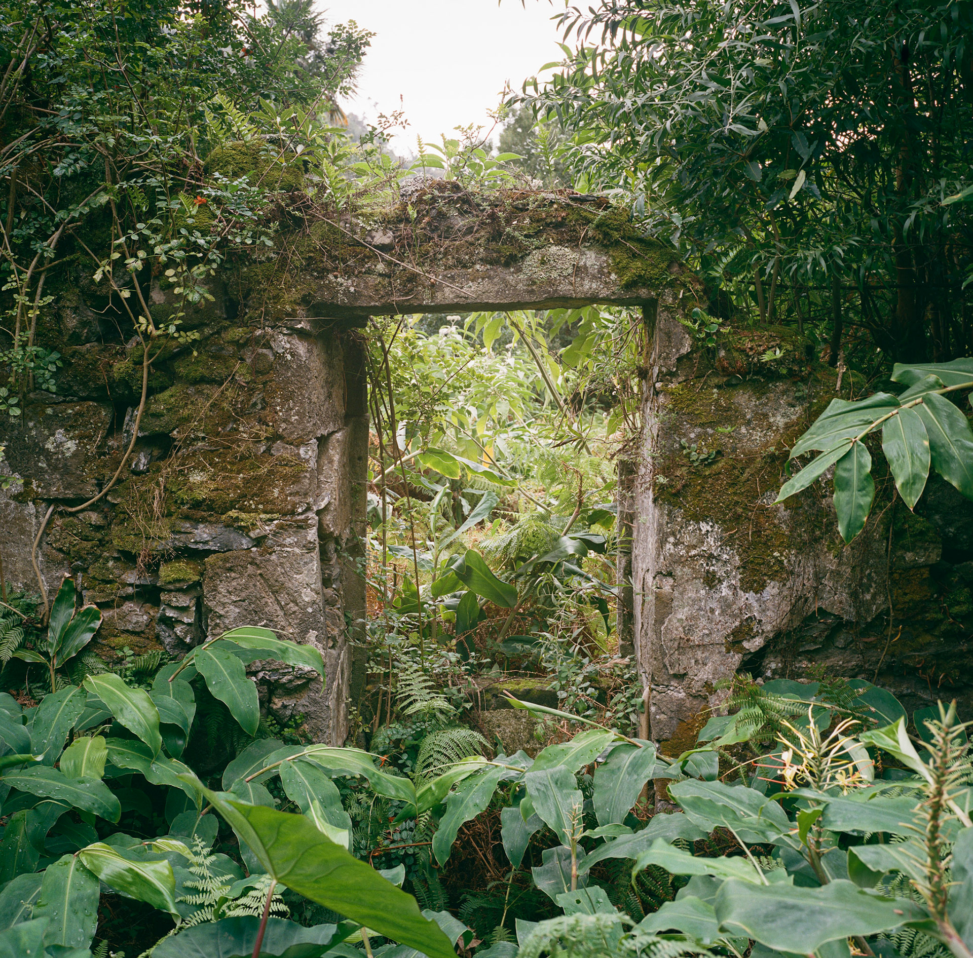 Abandoned Town Portal, Azores, Portugal (2025)