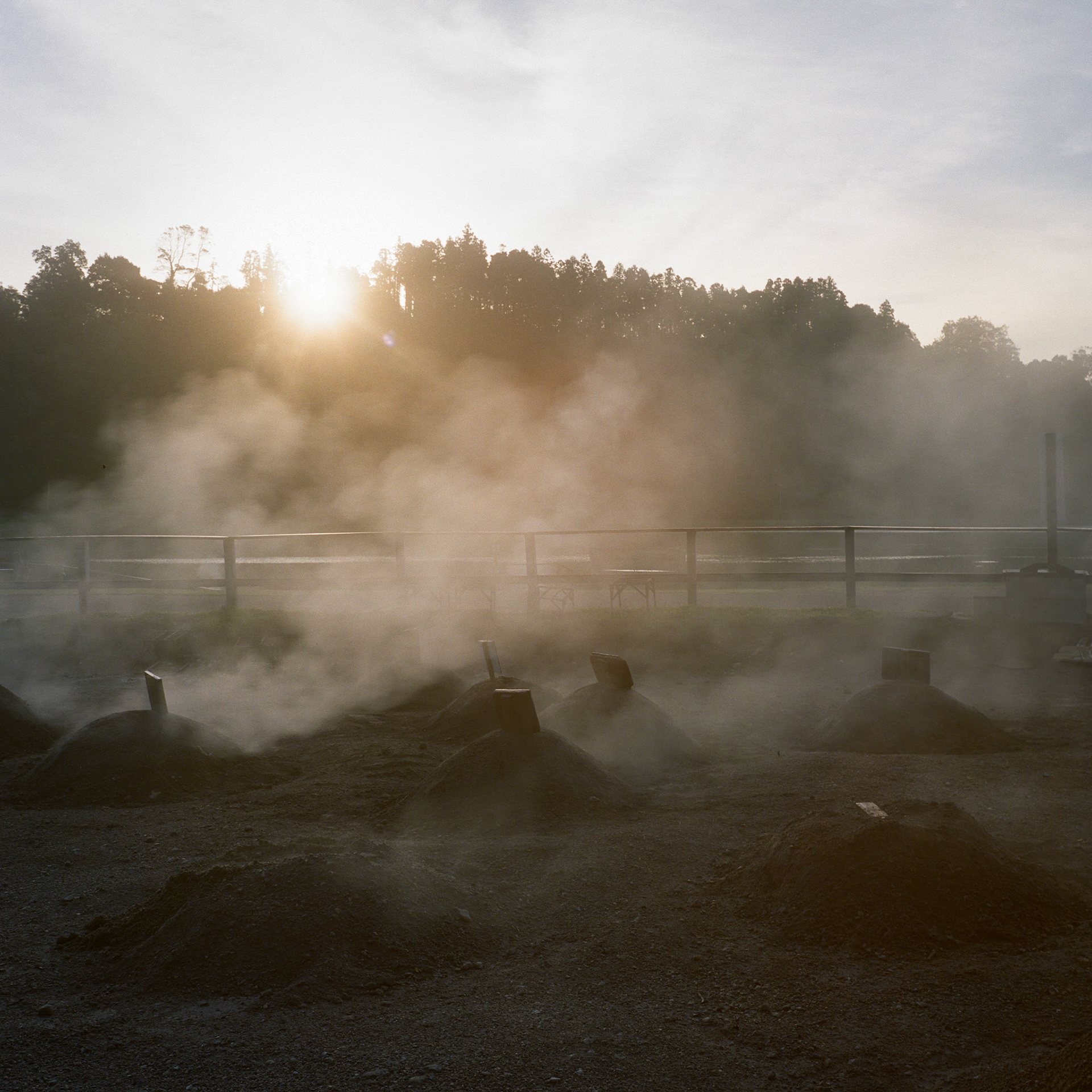 Cozido, Traditional Cooking with Volcanic Steam, Azores, Portugal (2025)