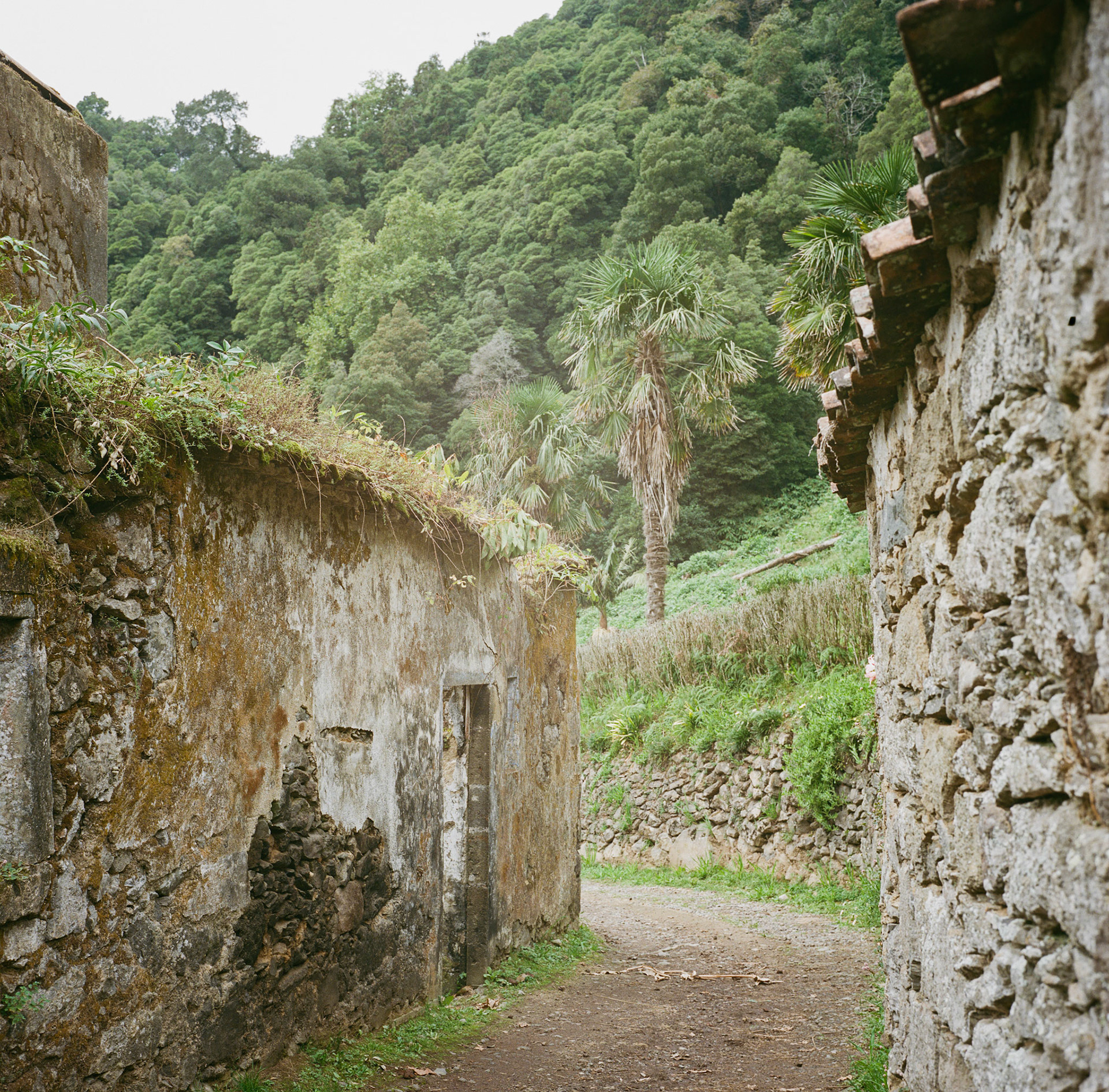 Abandoned Town: Arrival, Azores, Portugal (2025)