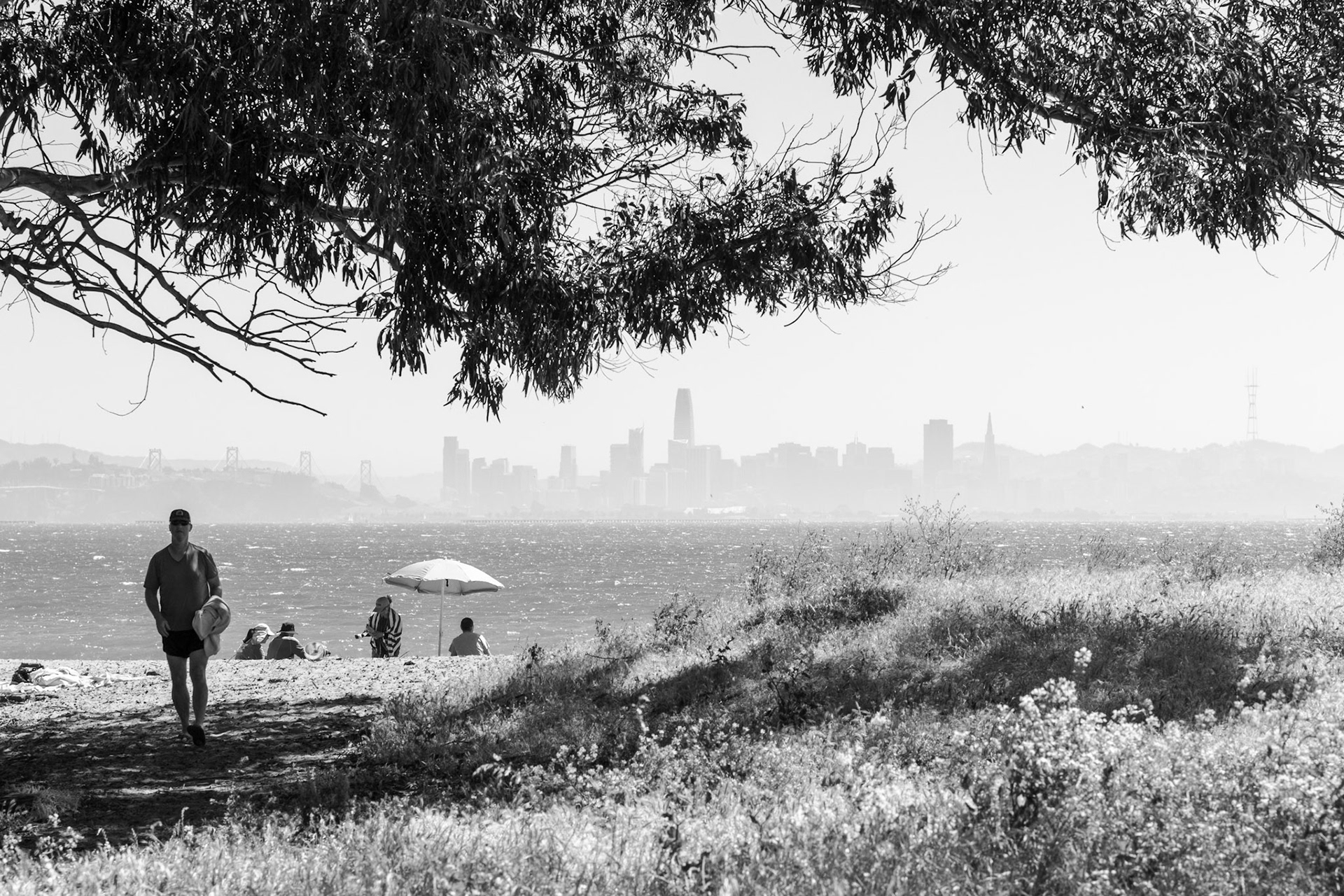 Albany Beach with San Francisco Skyline (Albany, USA, 2024)