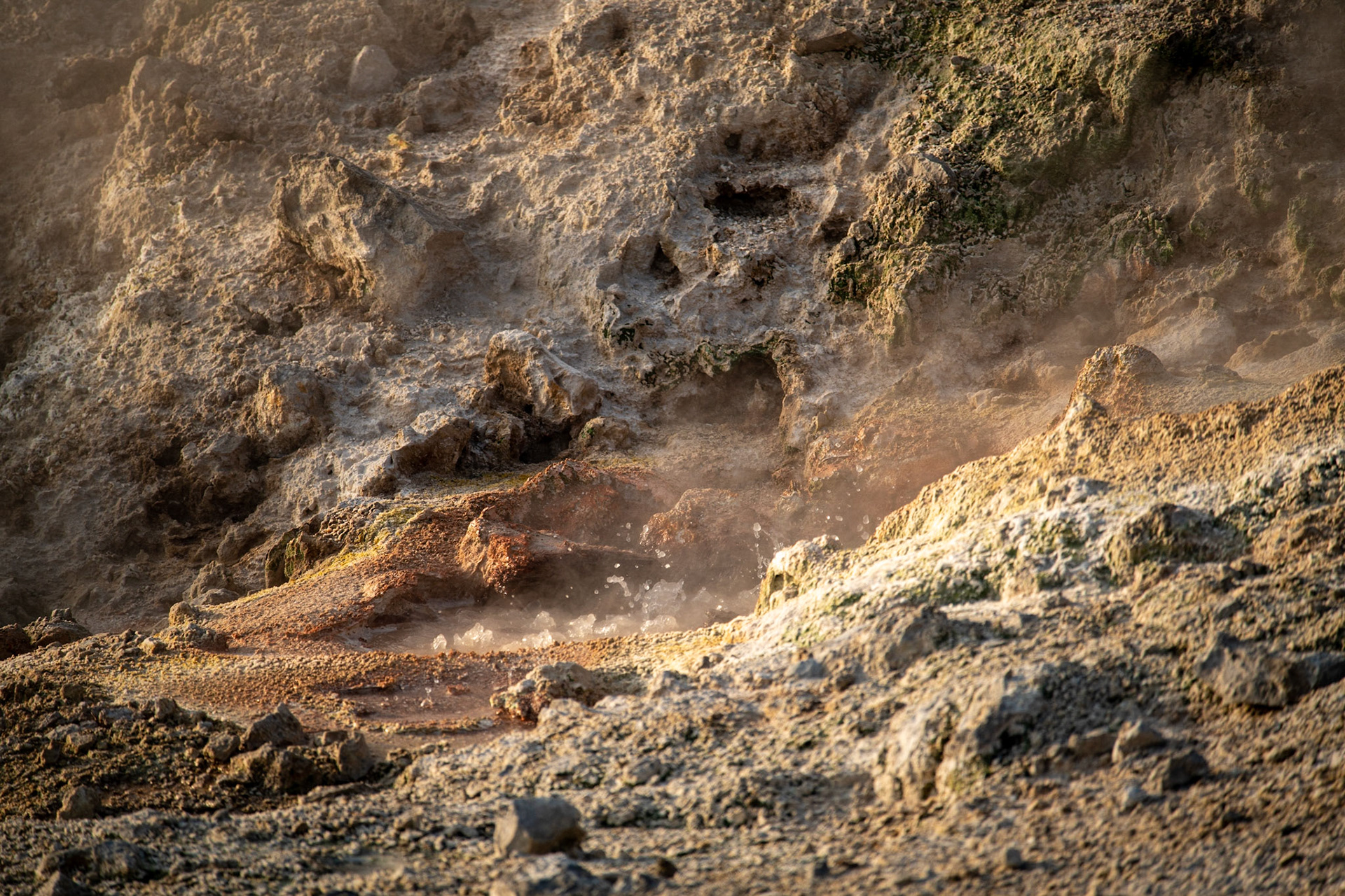 Near Congress Pool in Norris Geyser Basin 