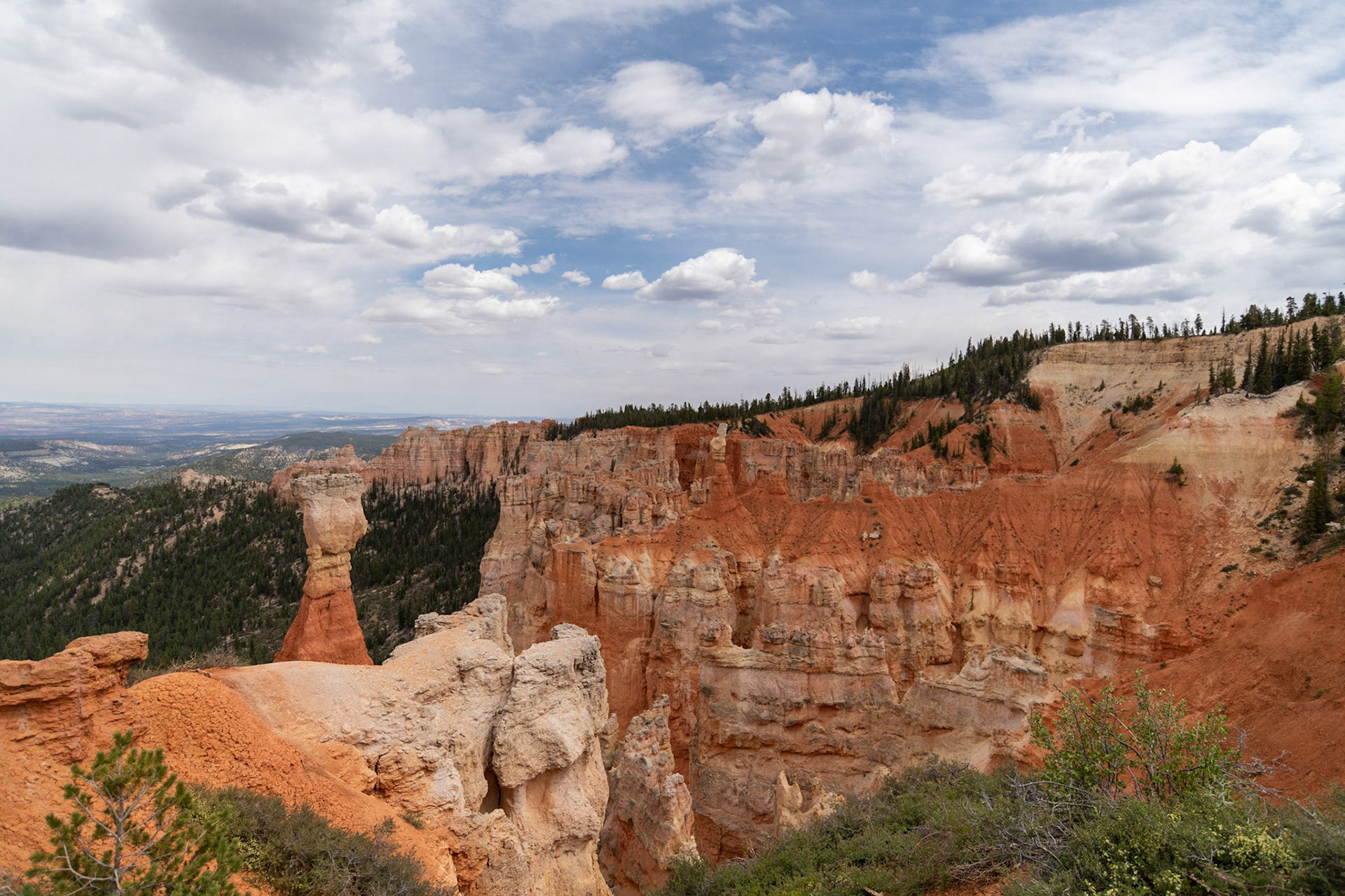 Agua Canyon