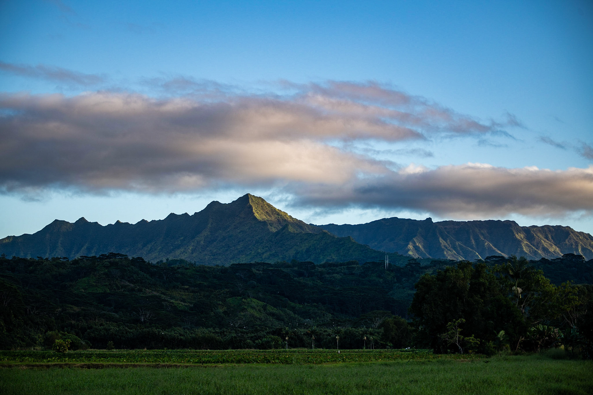 Princeville