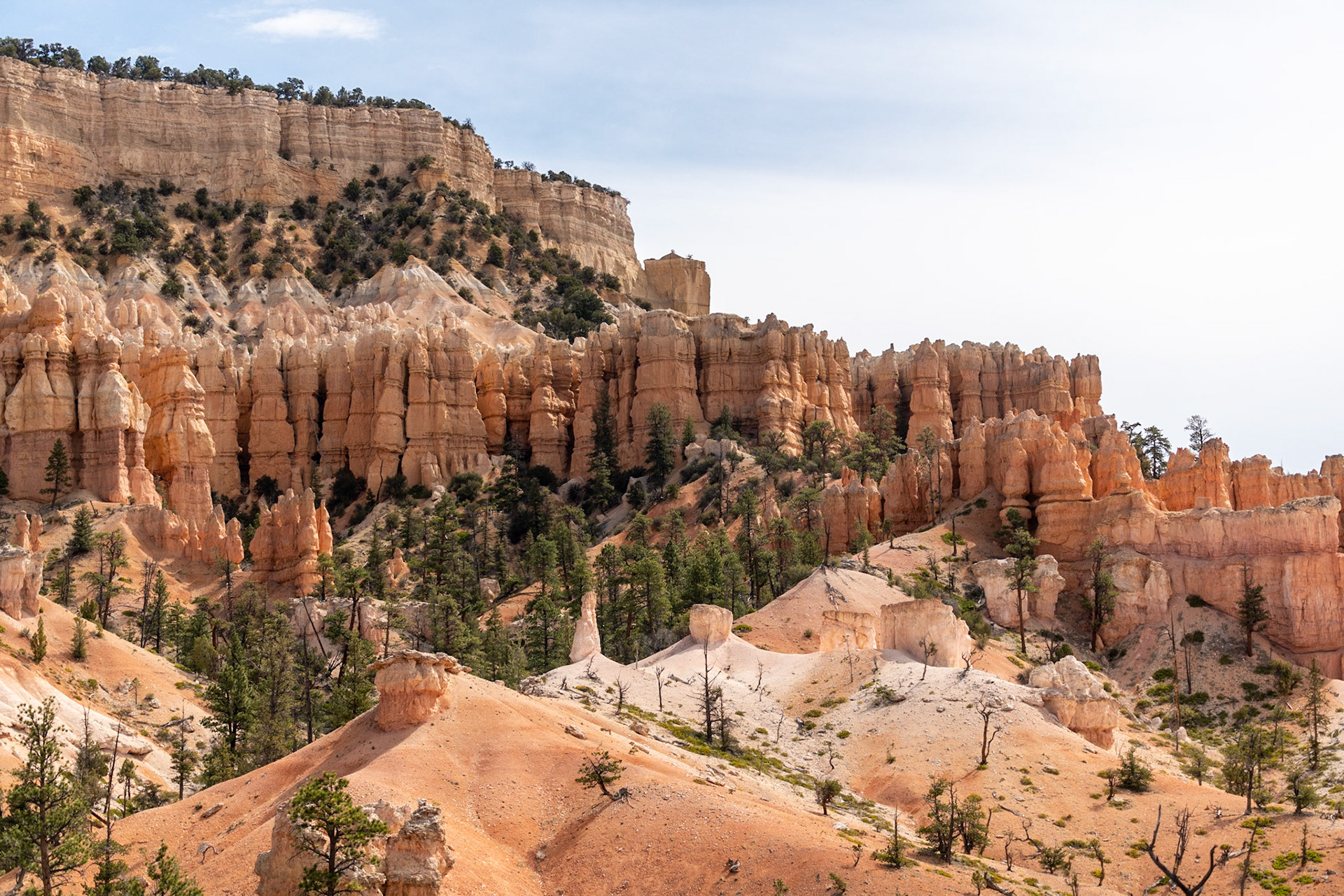 Fairyland loop trail