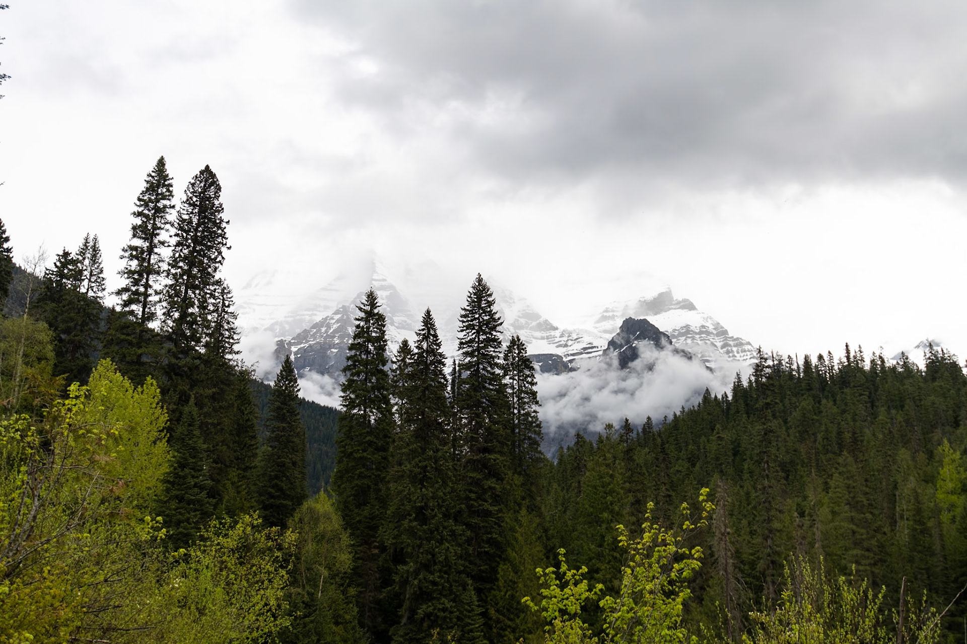 Mount Robson Park