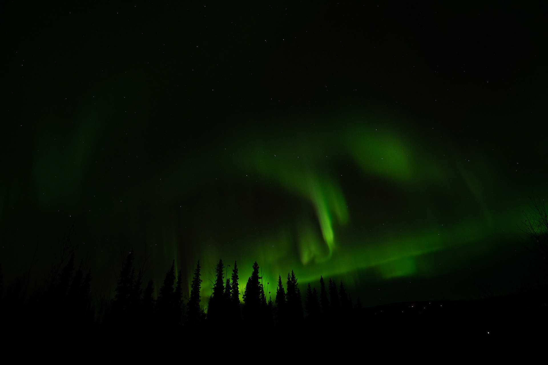 Aurora borealis on the way back from Murphy dome