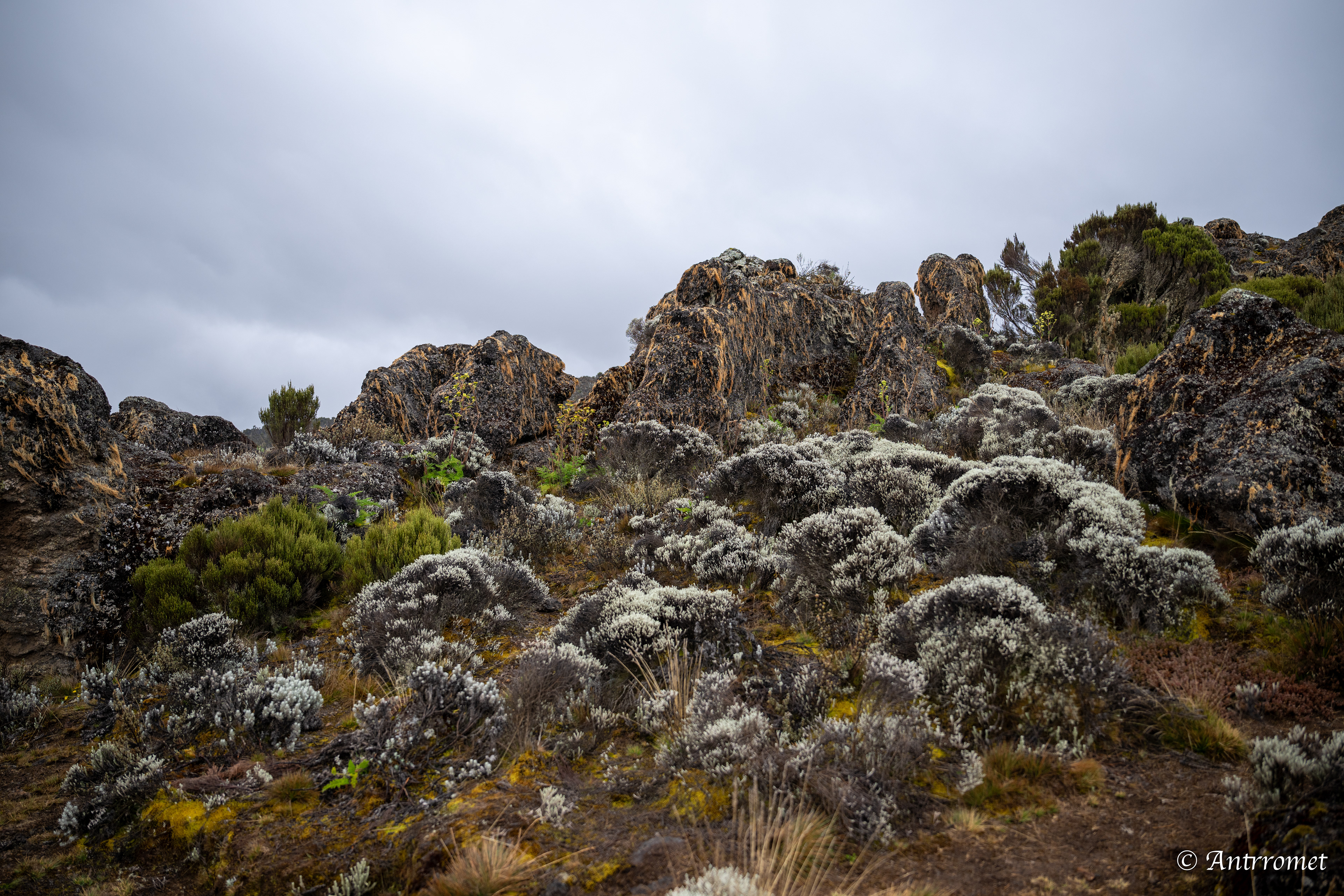 Day 2: Acclimatization walk