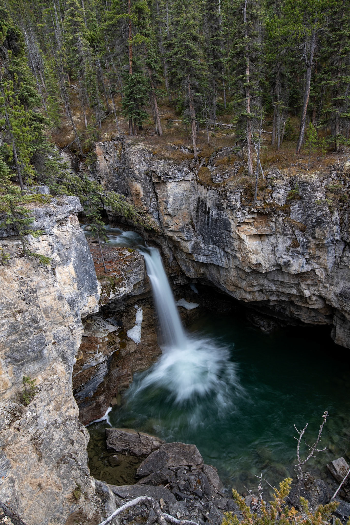 On the way to Stanley Falls on Beauty Creek Trail