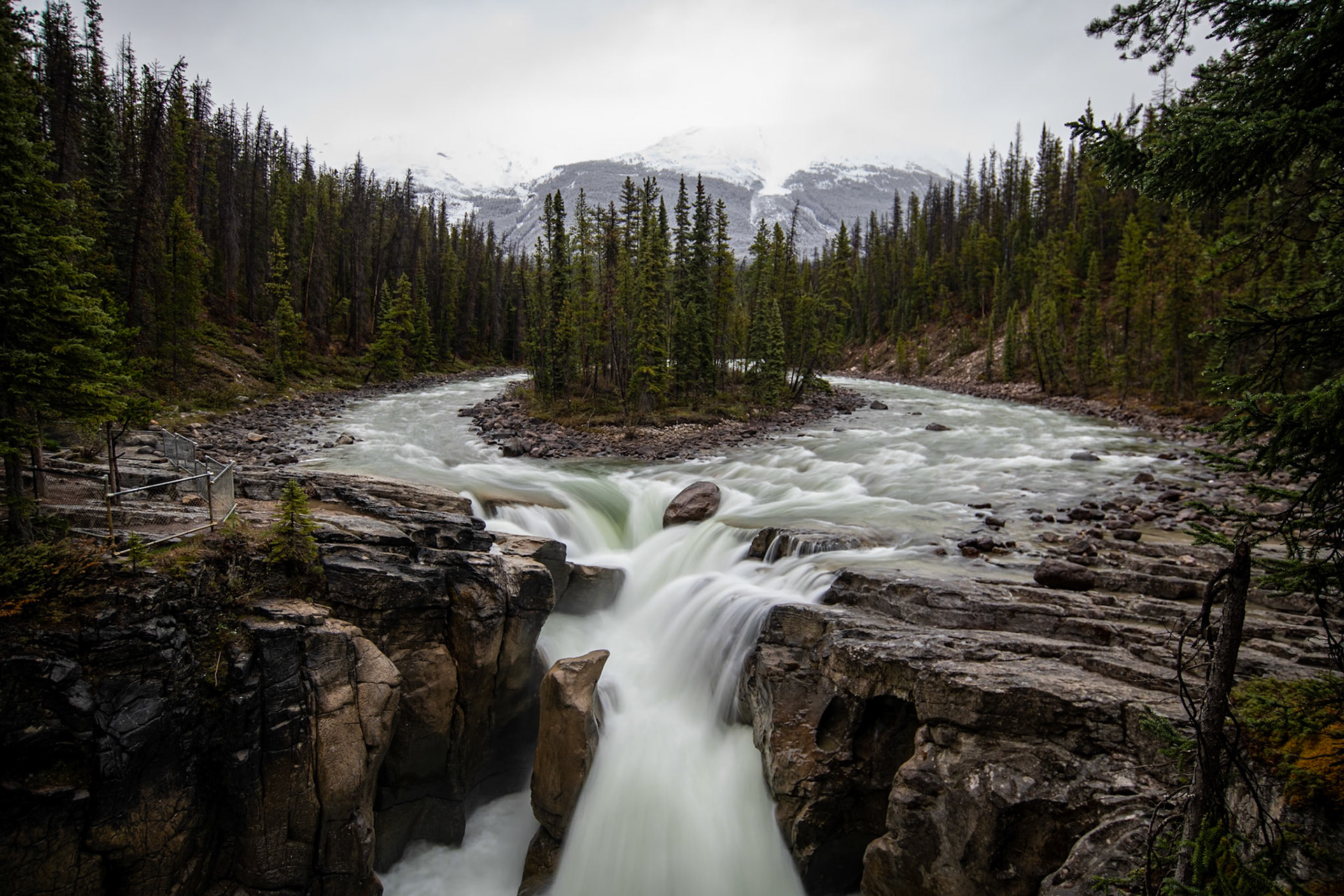 Sunwapta Falls