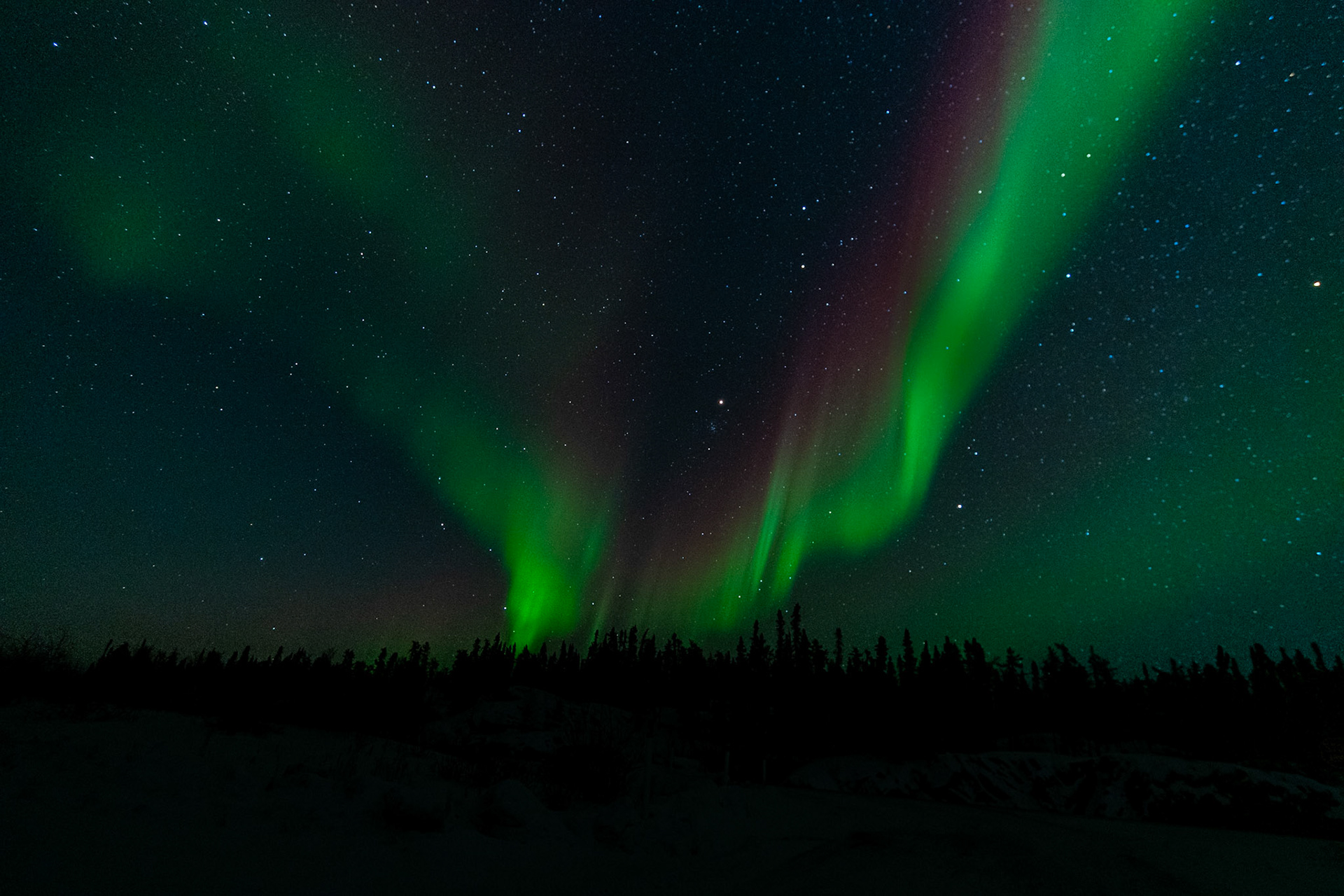 Northern lights at Prelude Lake E, Ingraham Trail