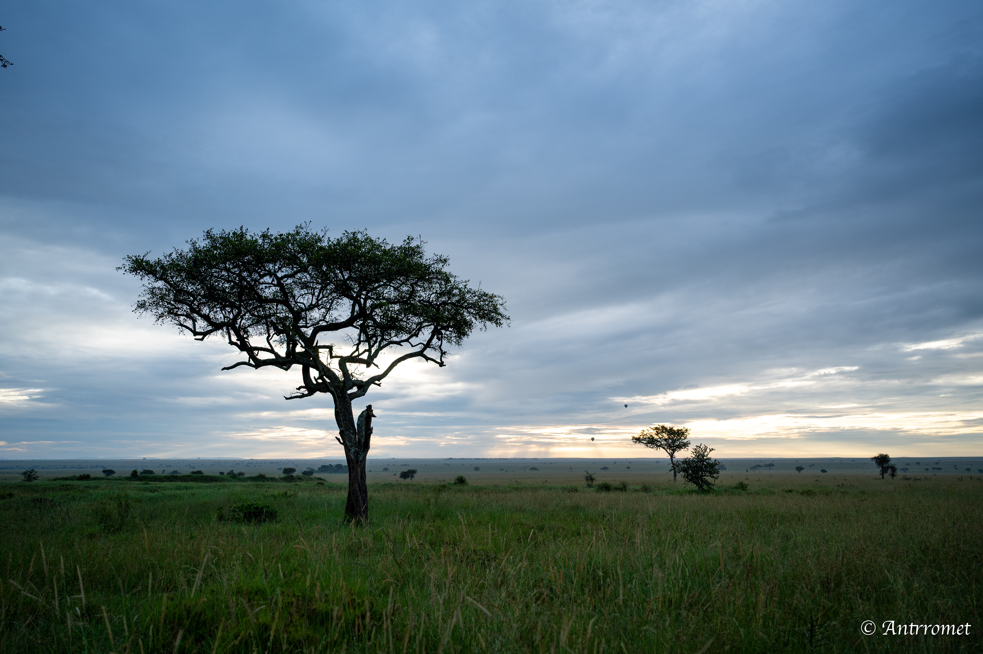 Sunrise in Serengeti