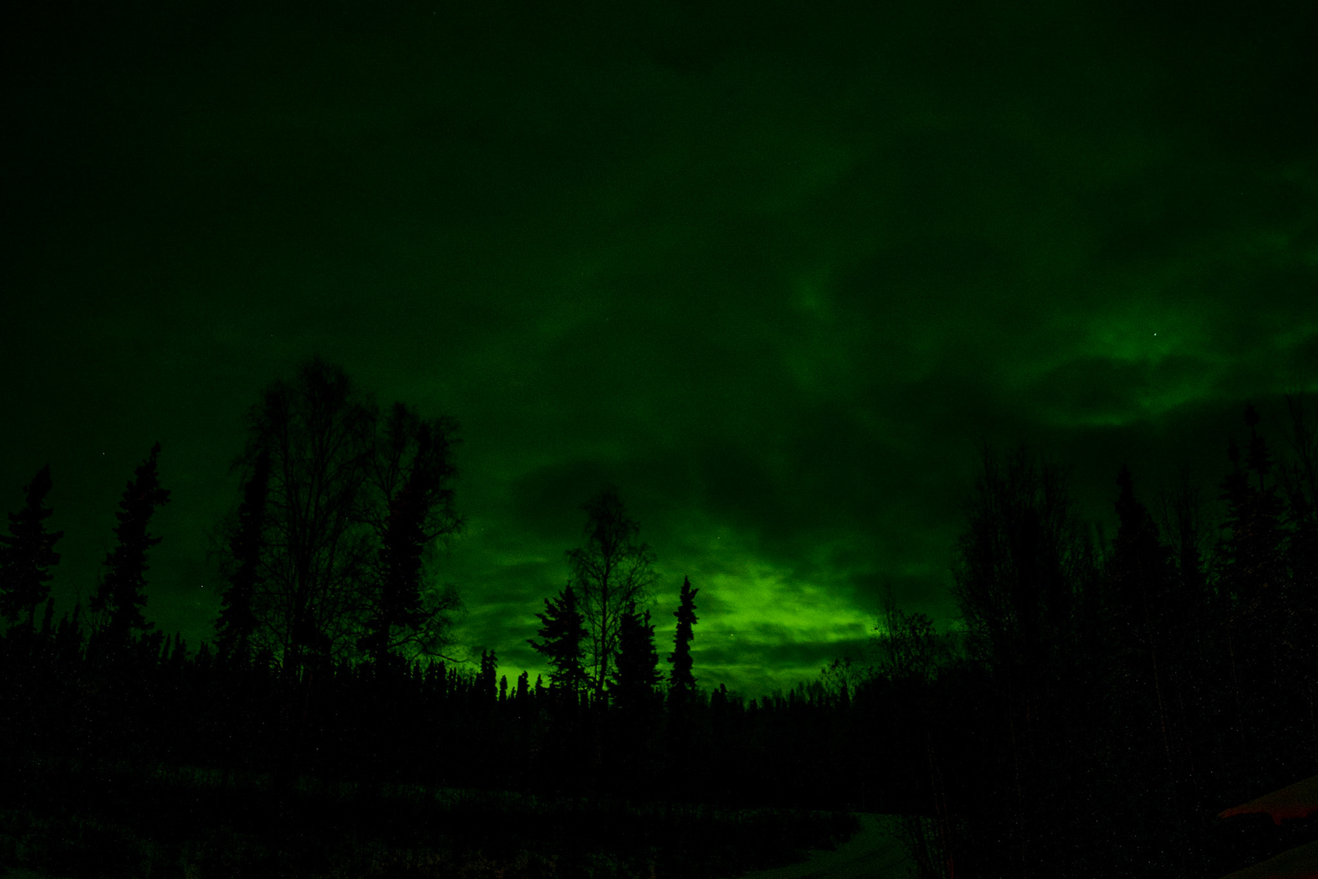 Aurora borealis at Joy Homestead