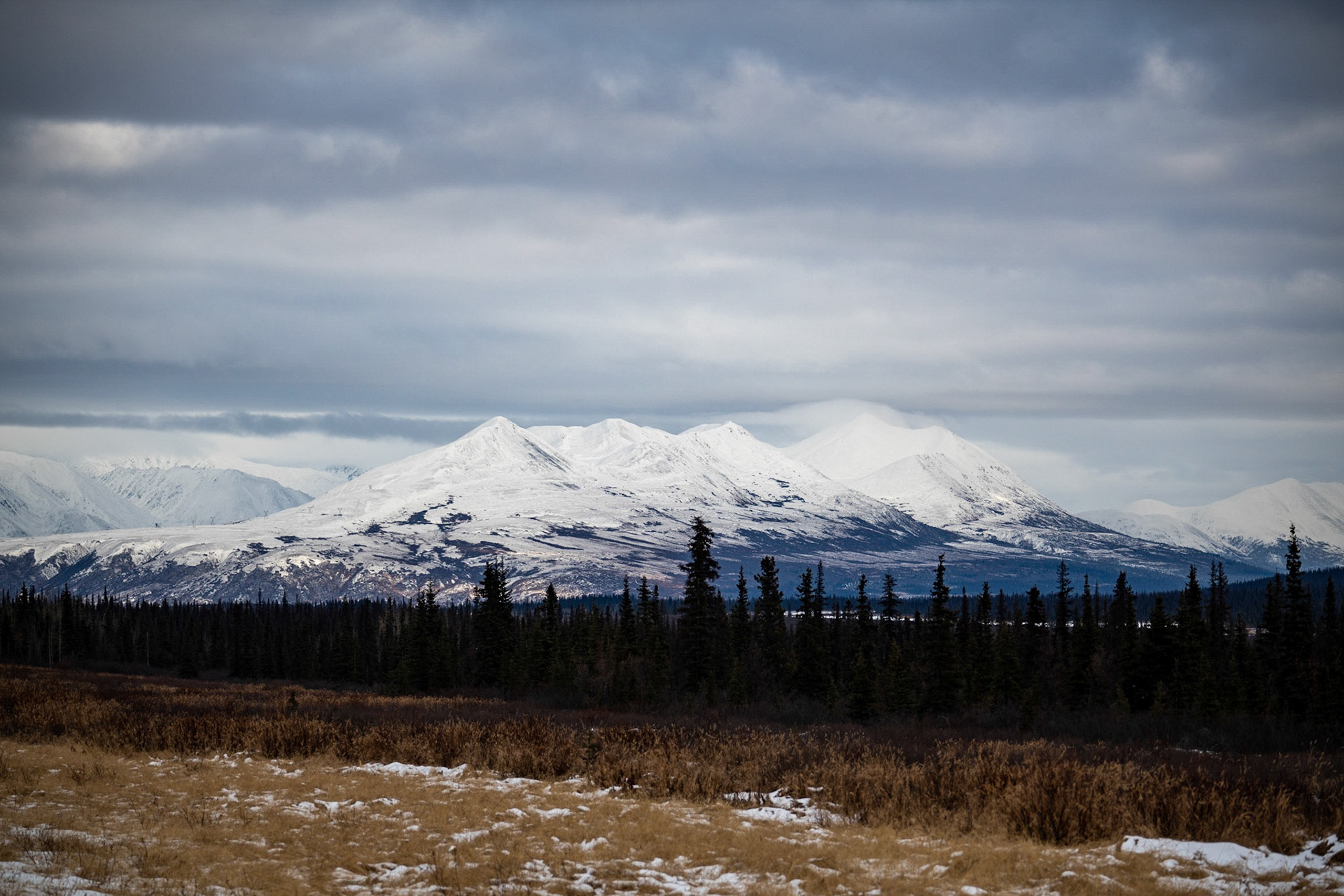 Somewhere on Denali Highway