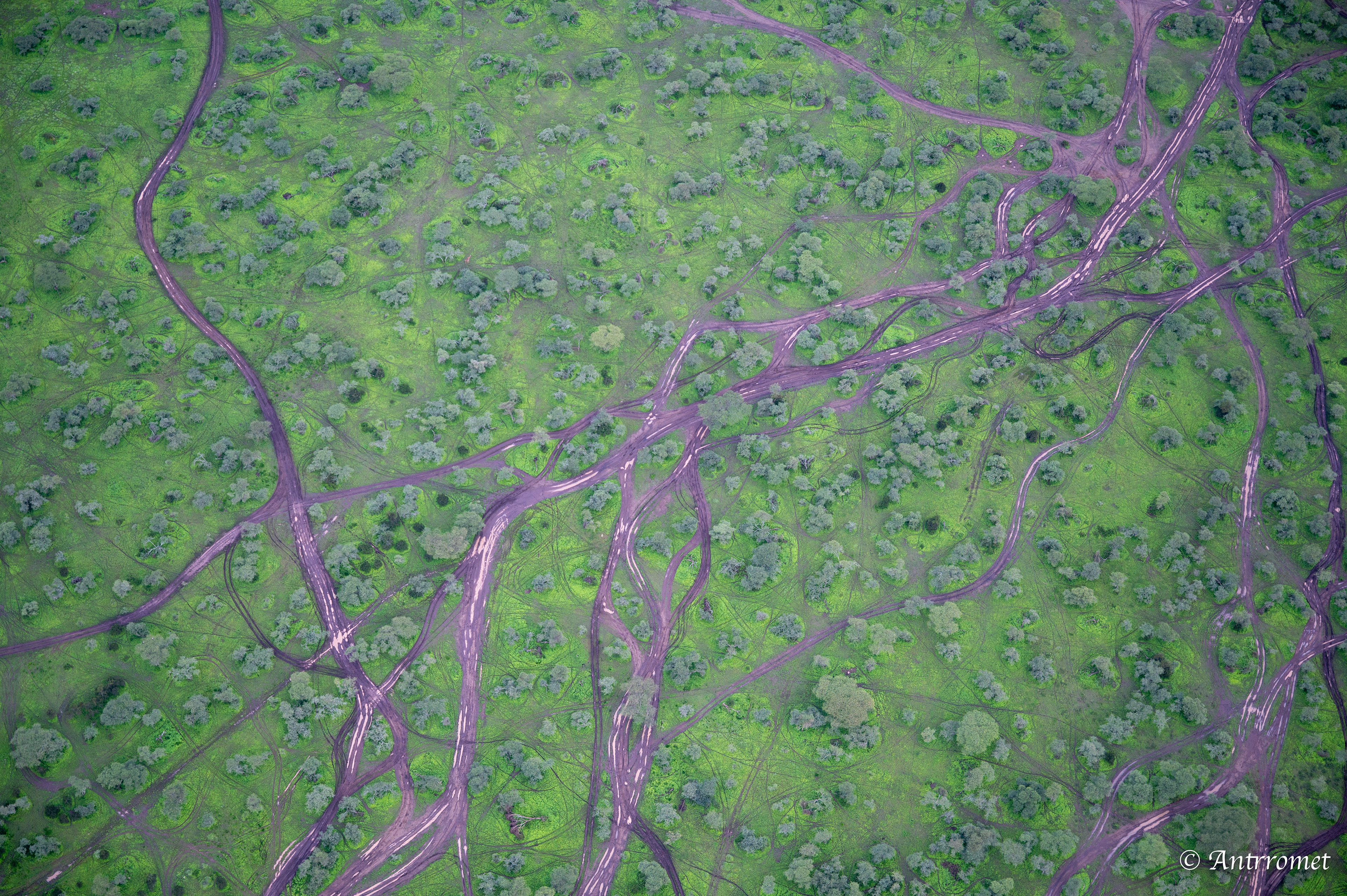 View from hot air balloon ride over Ndutu region