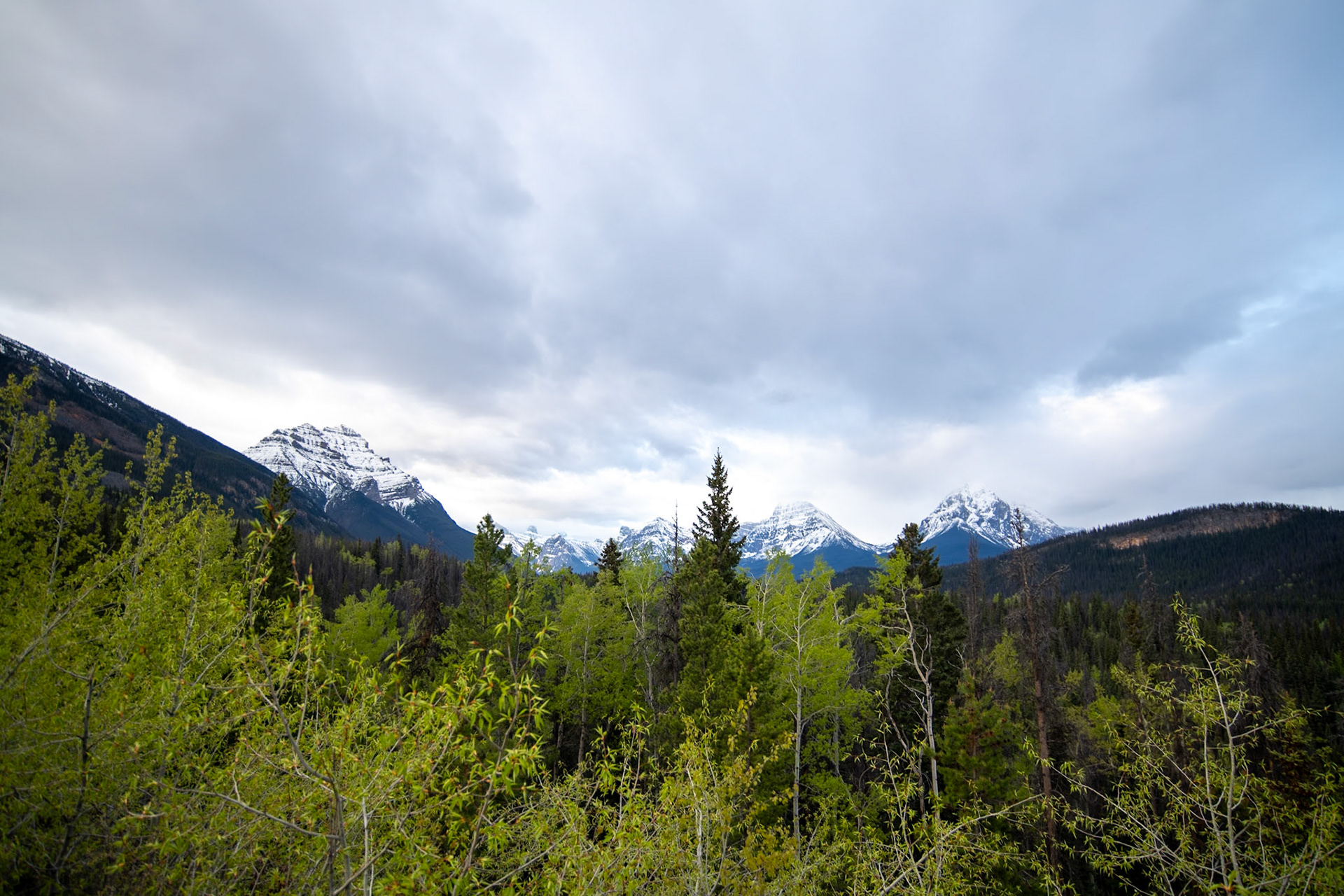 Athabasca Pass Lookout