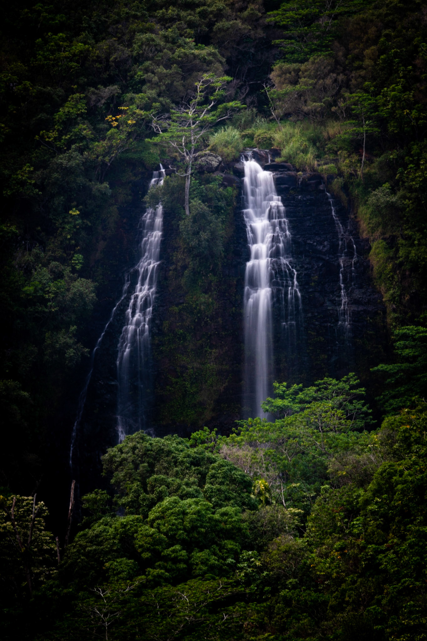 Opaeka'a falls