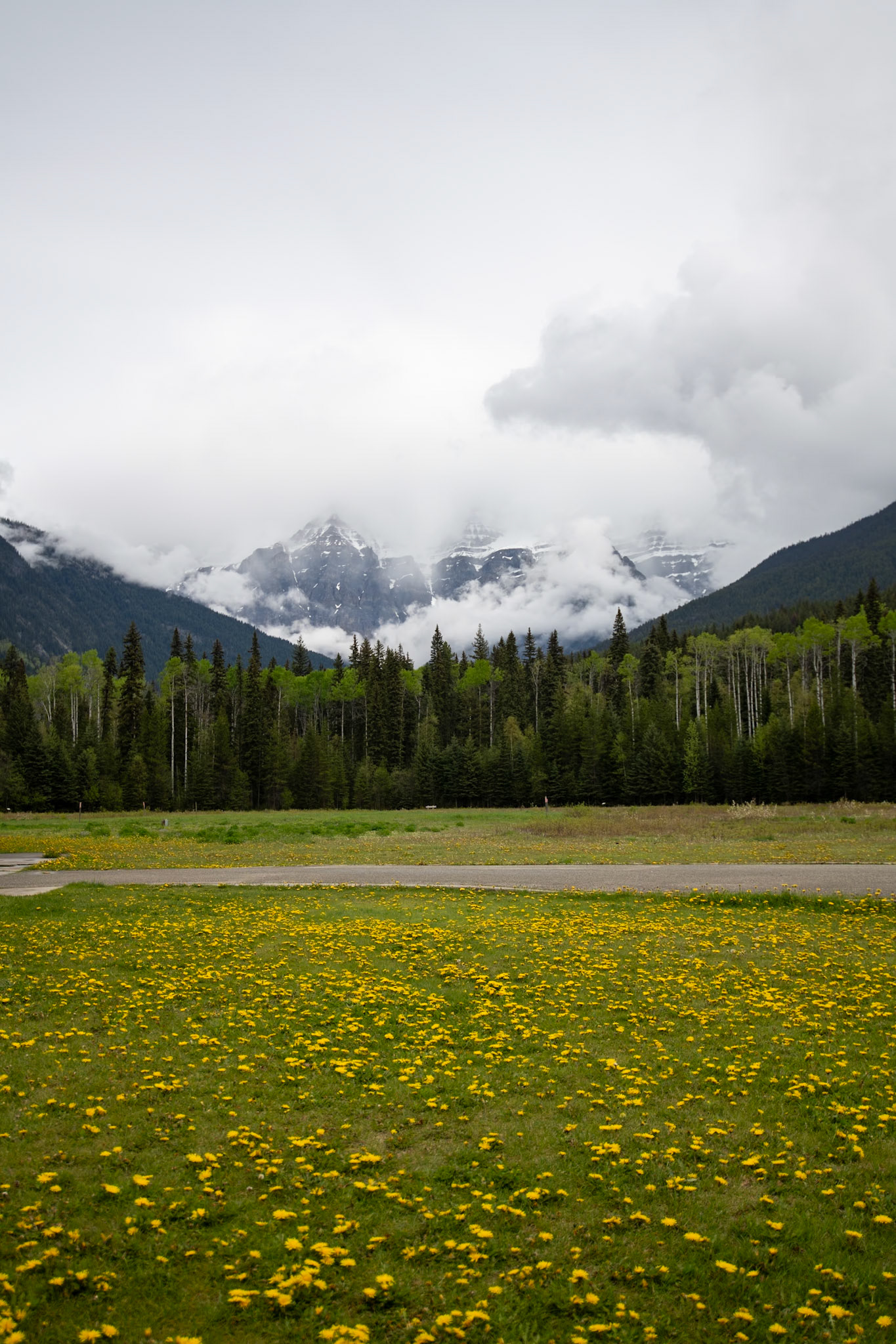 Mount Robson Park