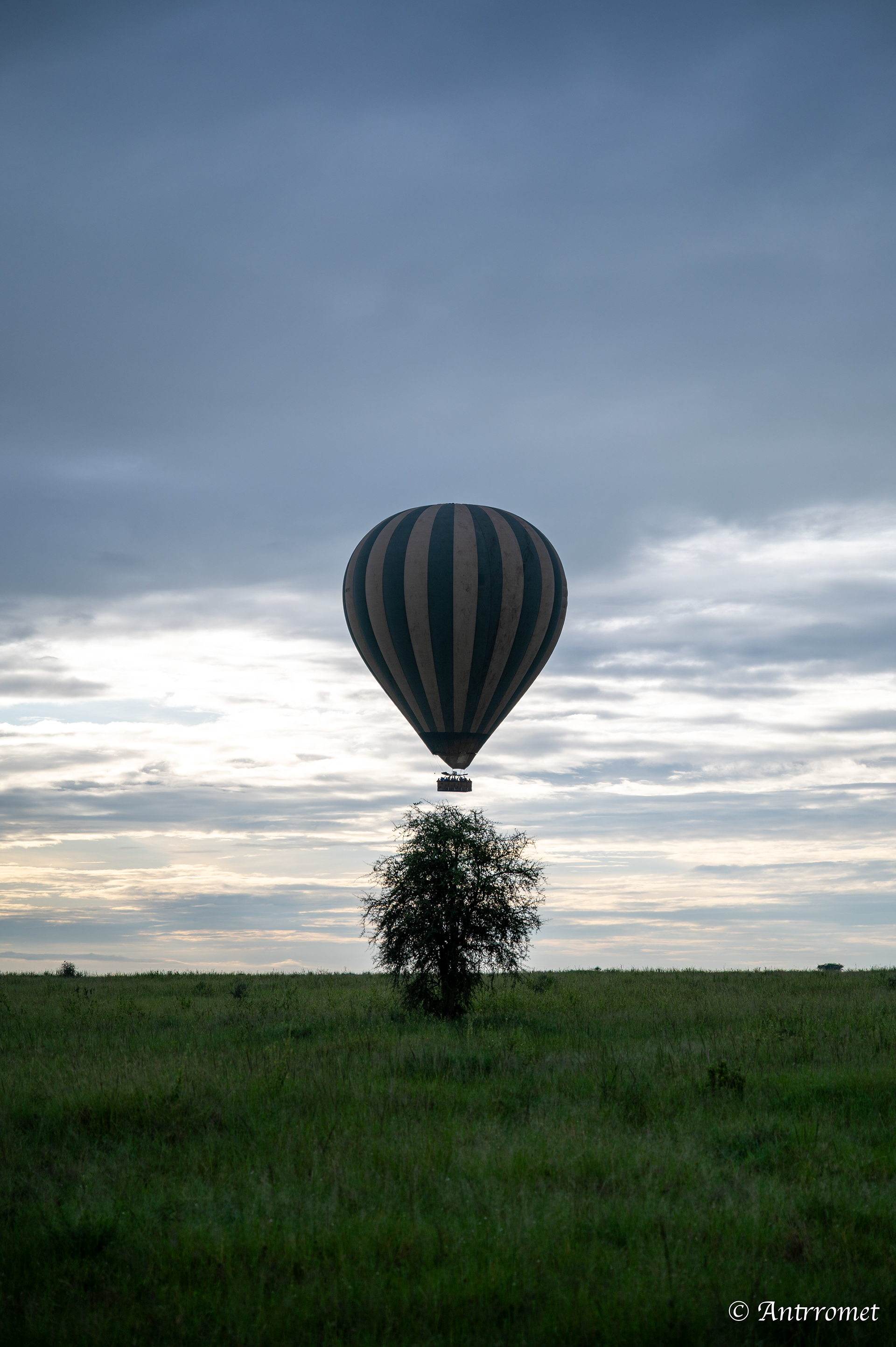 Hot air balloon in Serengeti