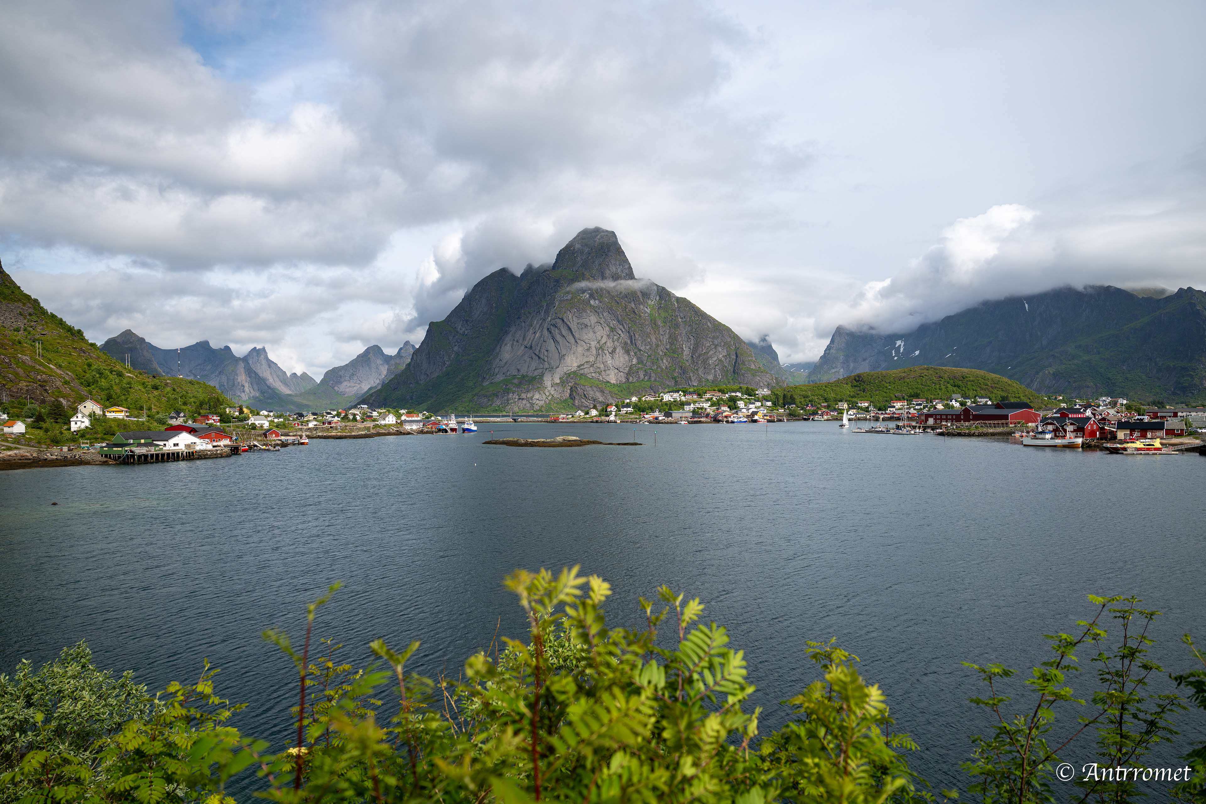 Reine