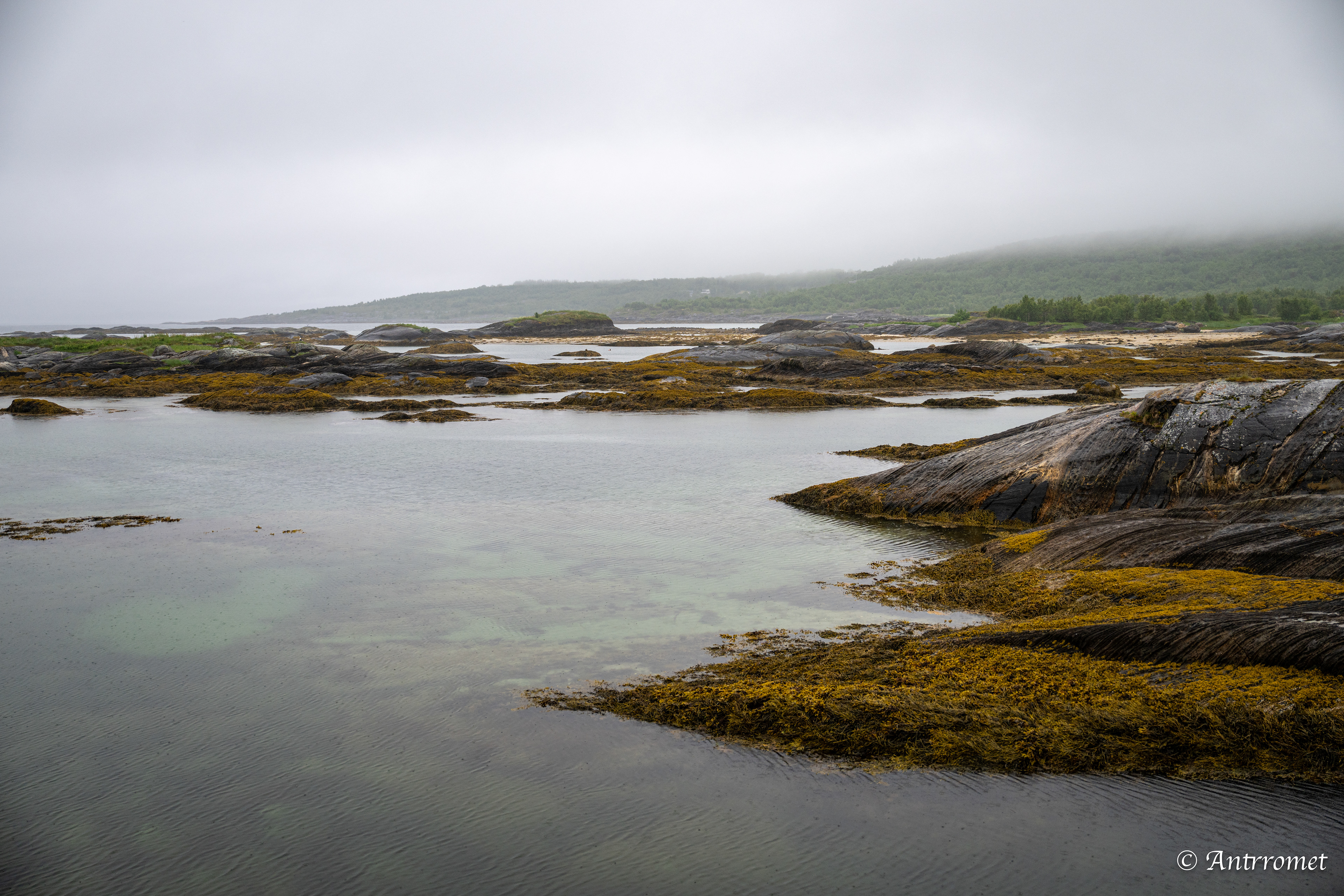 Godøystraumen rasteplass