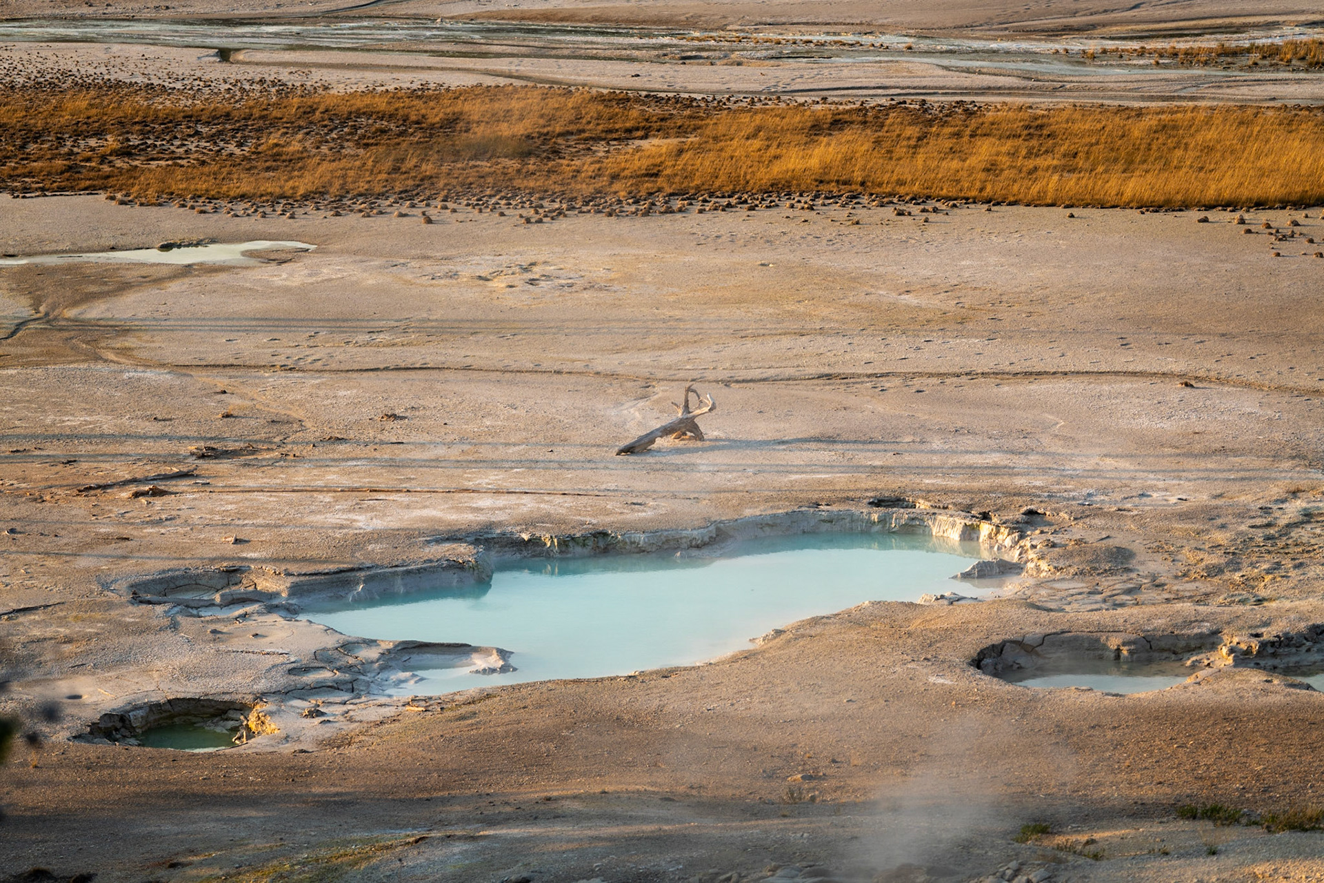 Glacial Melt Geyser in Norris Geyser Basin