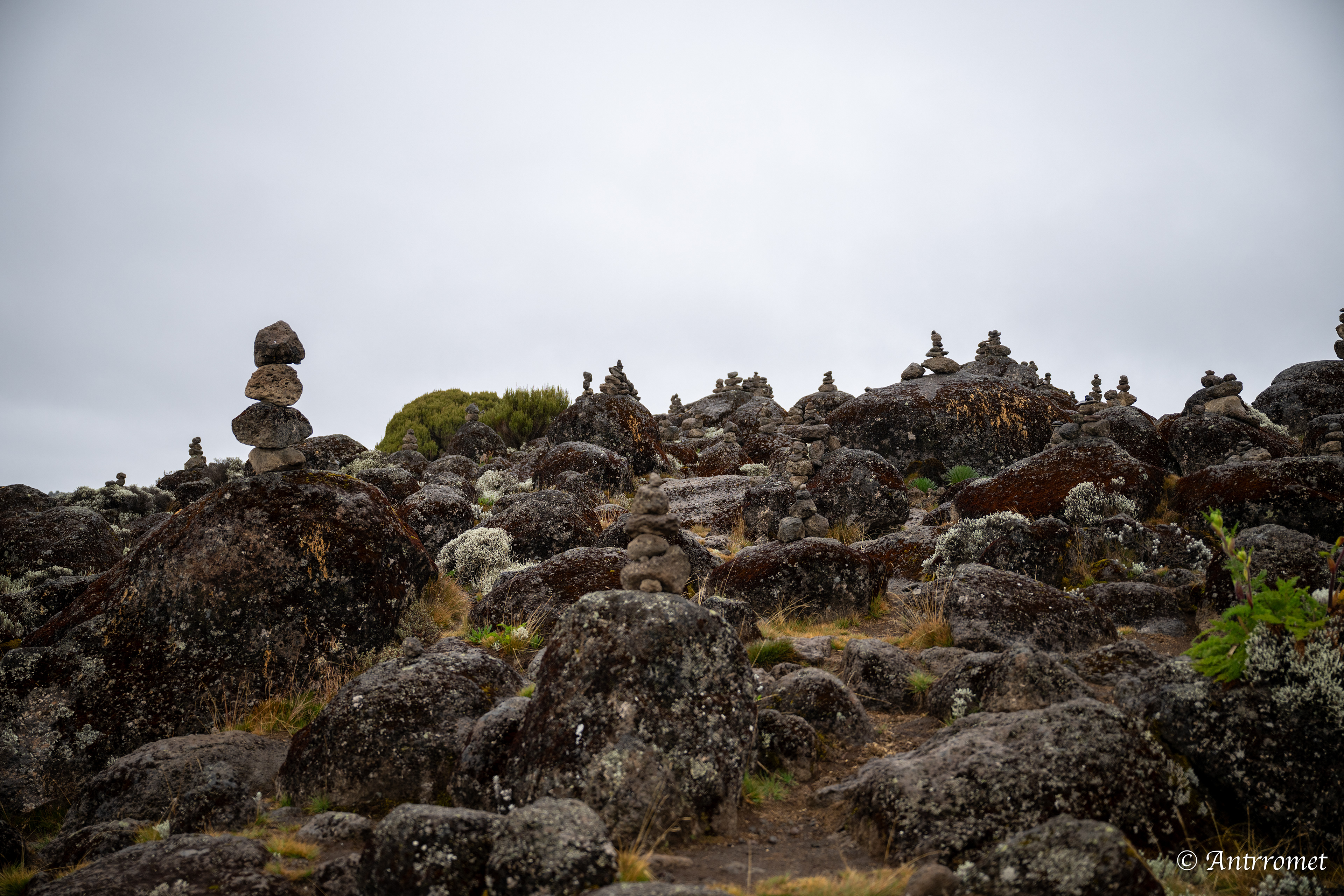 Day 2: Acclimatization walk