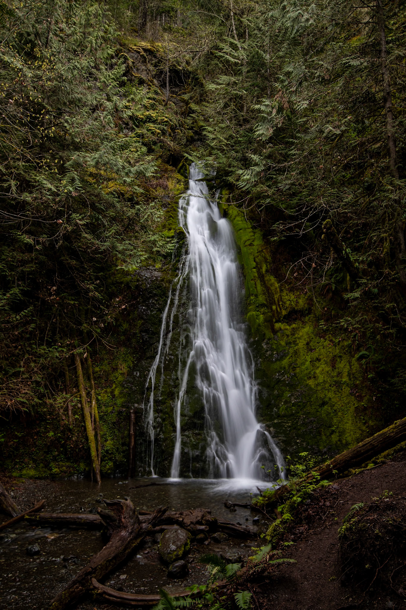 Madison Creek Falls Nature trail