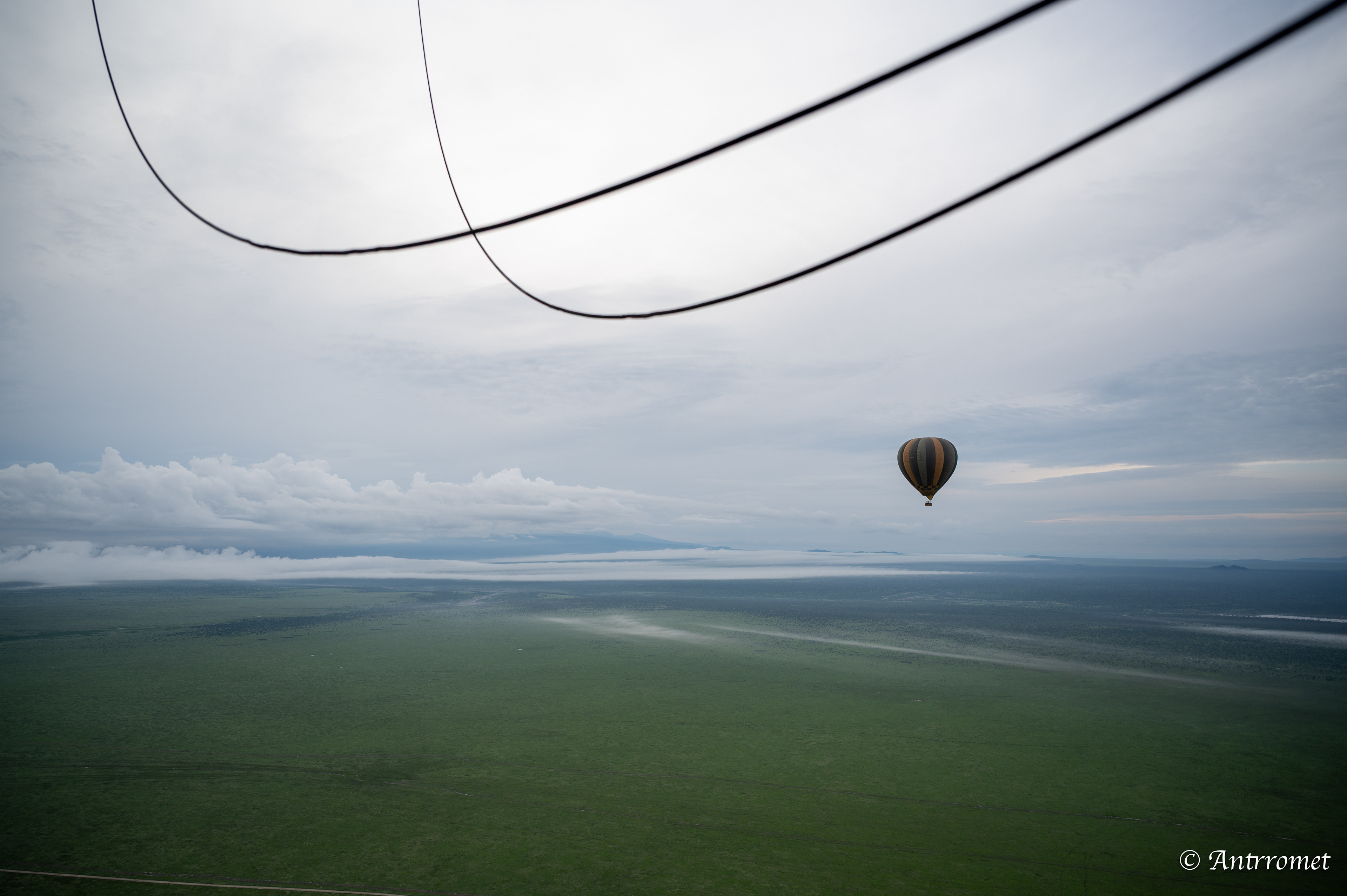 View from hot air balloon ride over Ndutu region
