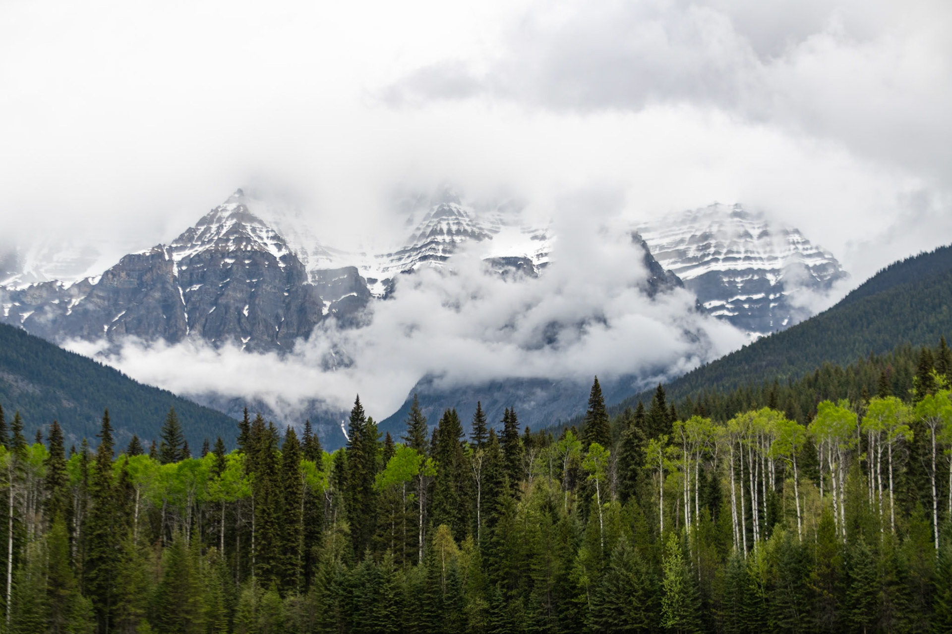 Mount Robson Park
