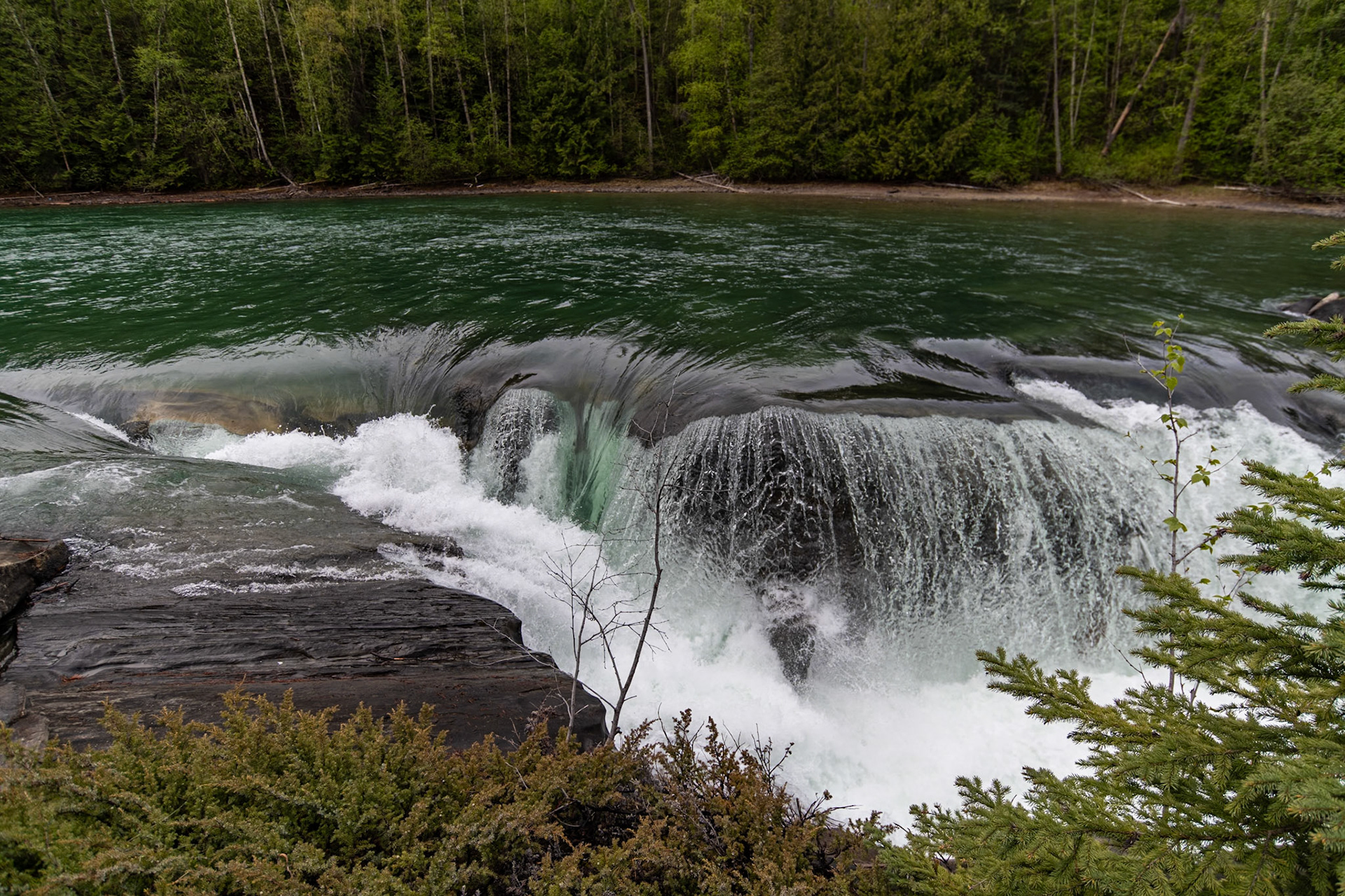 Rearguard Falls