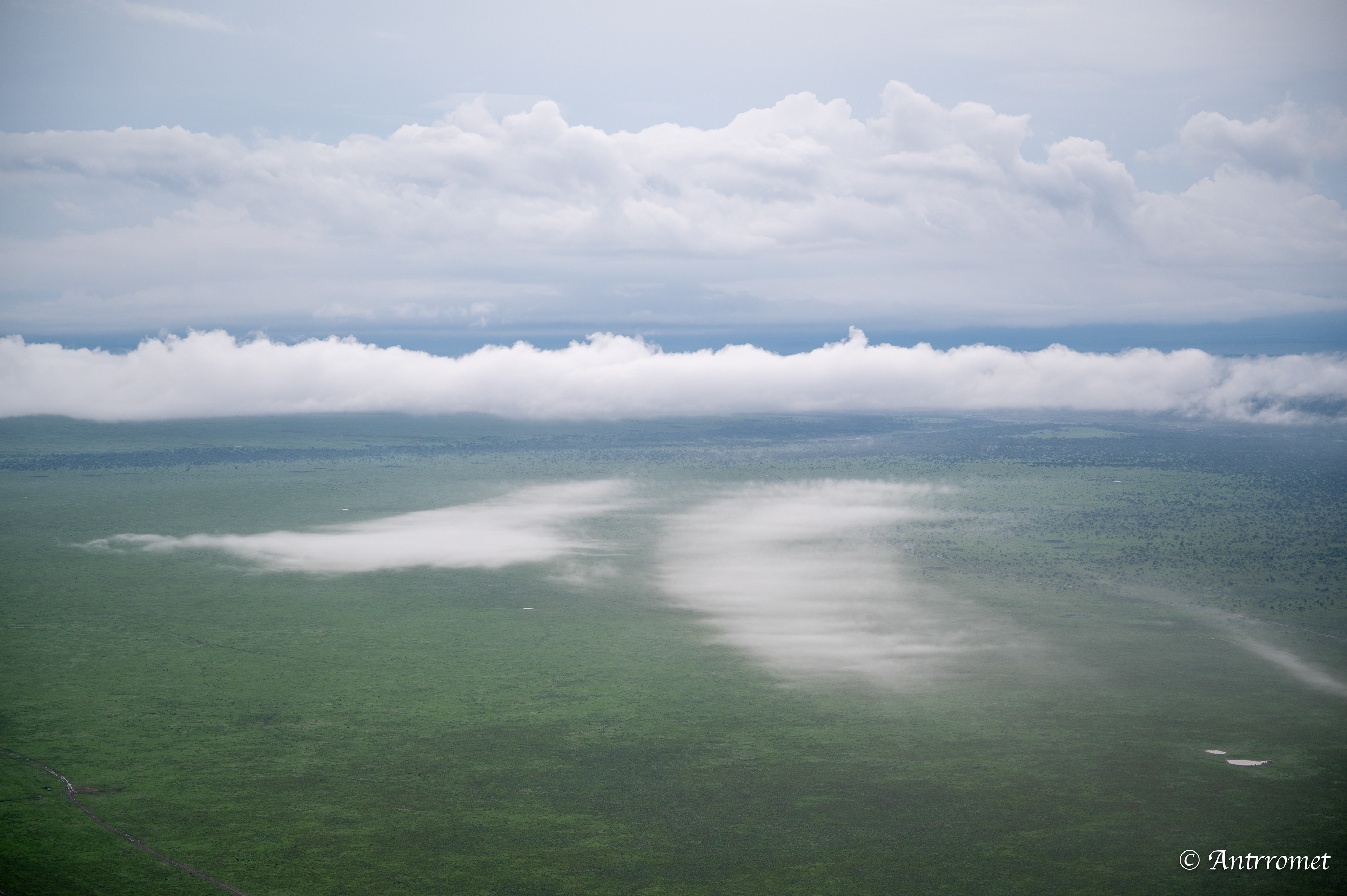 View from hot air balloon ride over Ndutu region