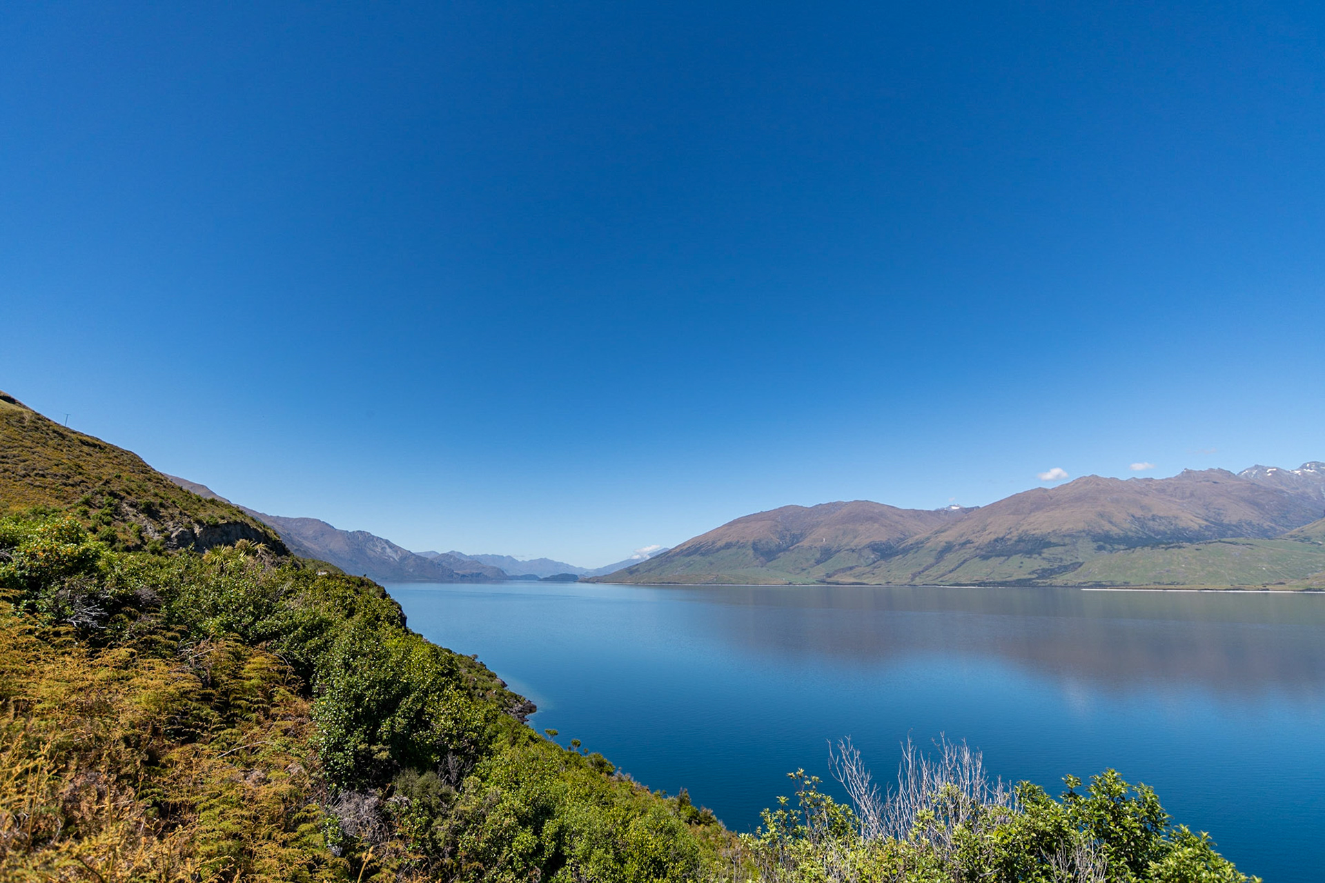 Lake Wanaka Lookout