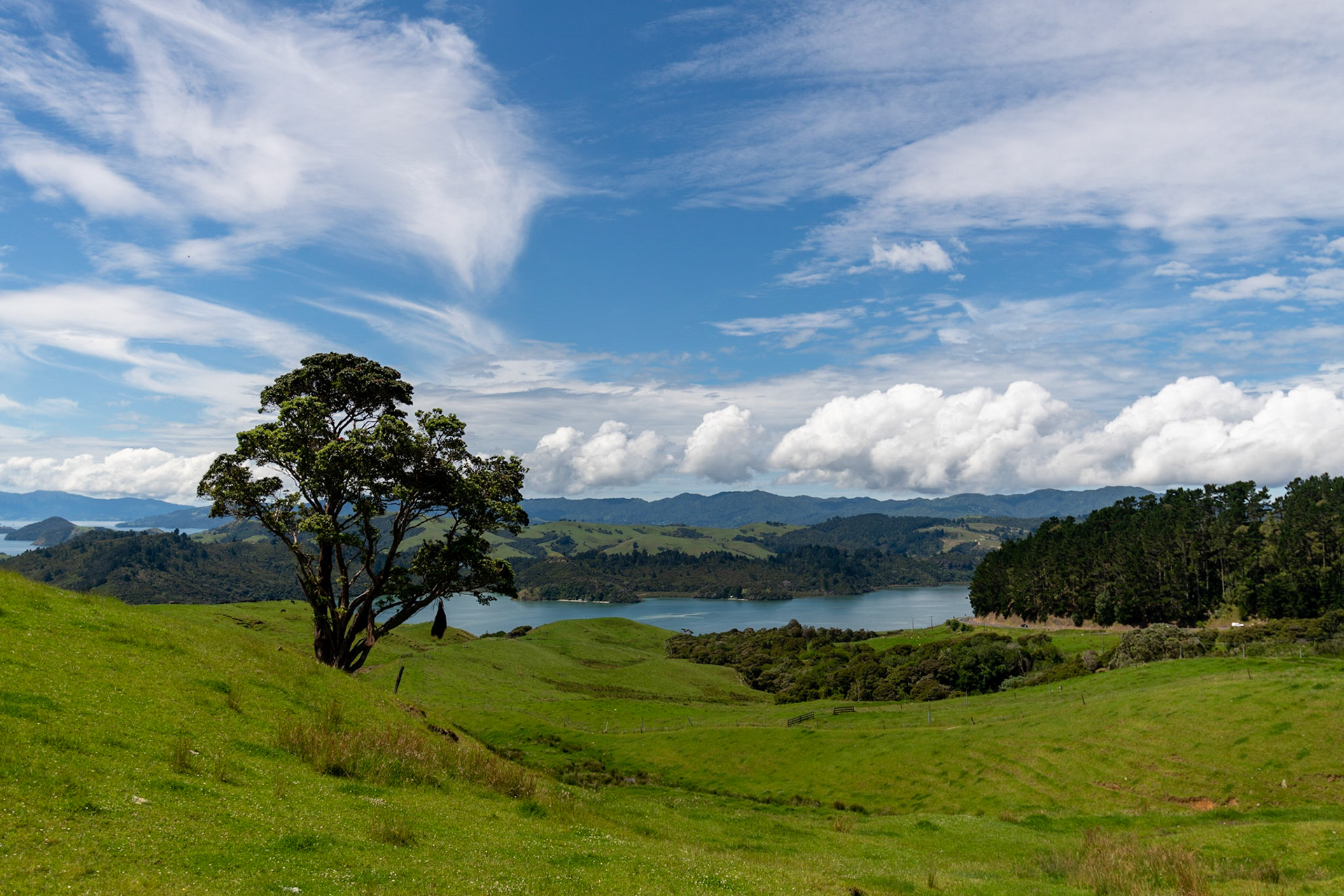 Manaia Road Saddle and Lookout