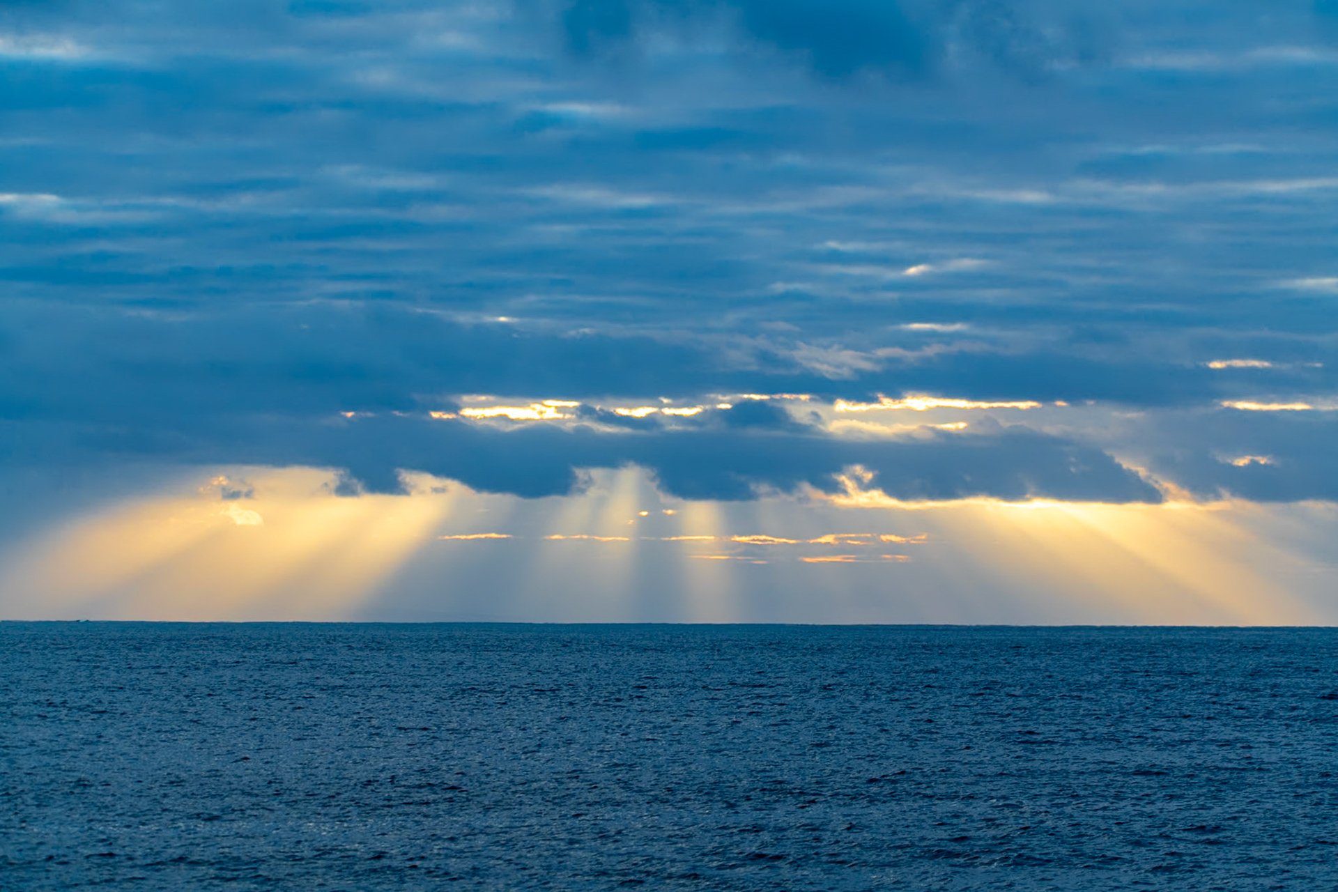 Sunrise at southern Waikiki beach during whale watching tour