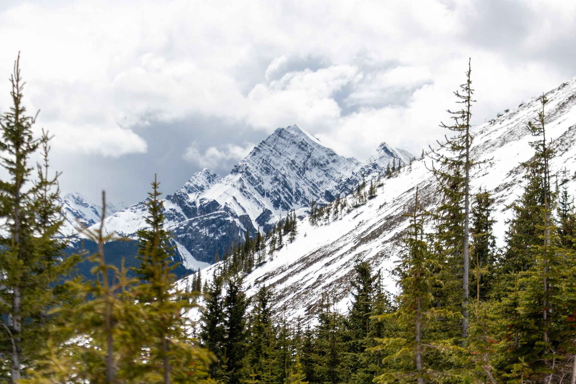Pyramid mountain from Sulphur Skyline Trail