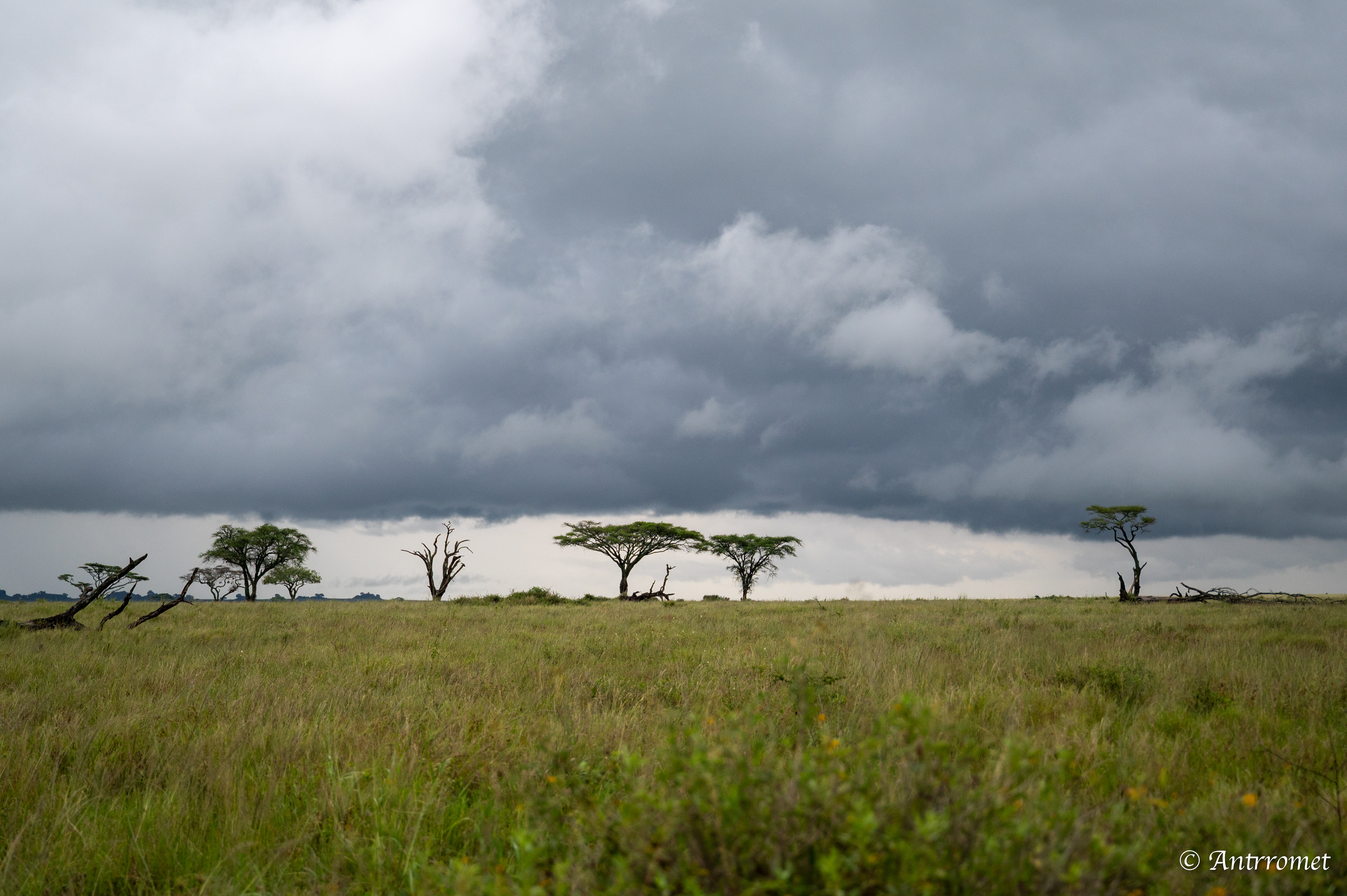 Serengeti National Park
