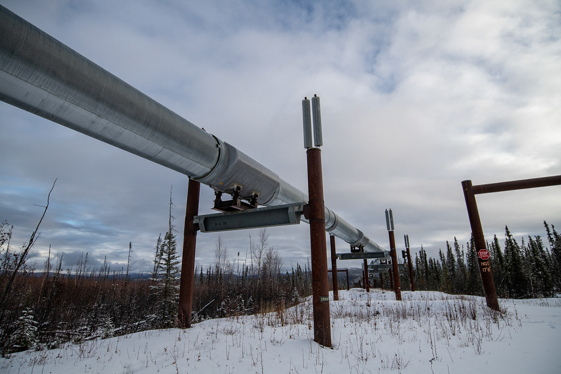 Trans-Alaska Pipeline
