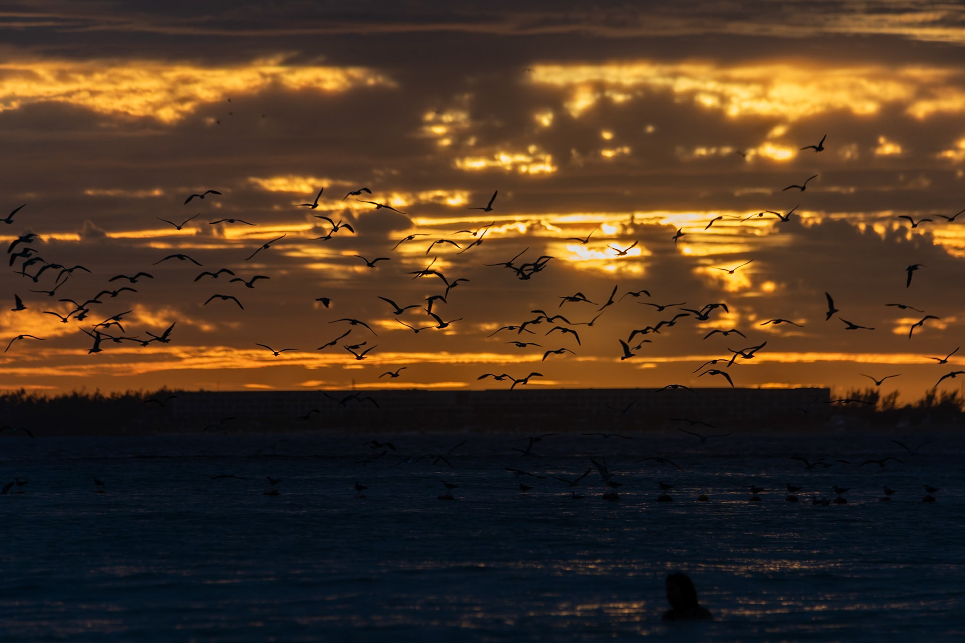 Sunset at Isla Mujeres