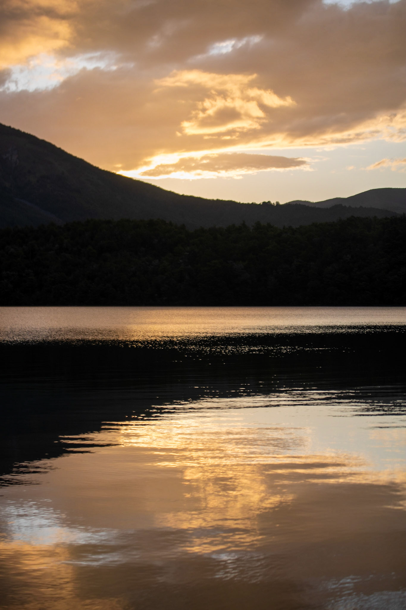 Lake Rotoiti, Nelson Lakes National Park