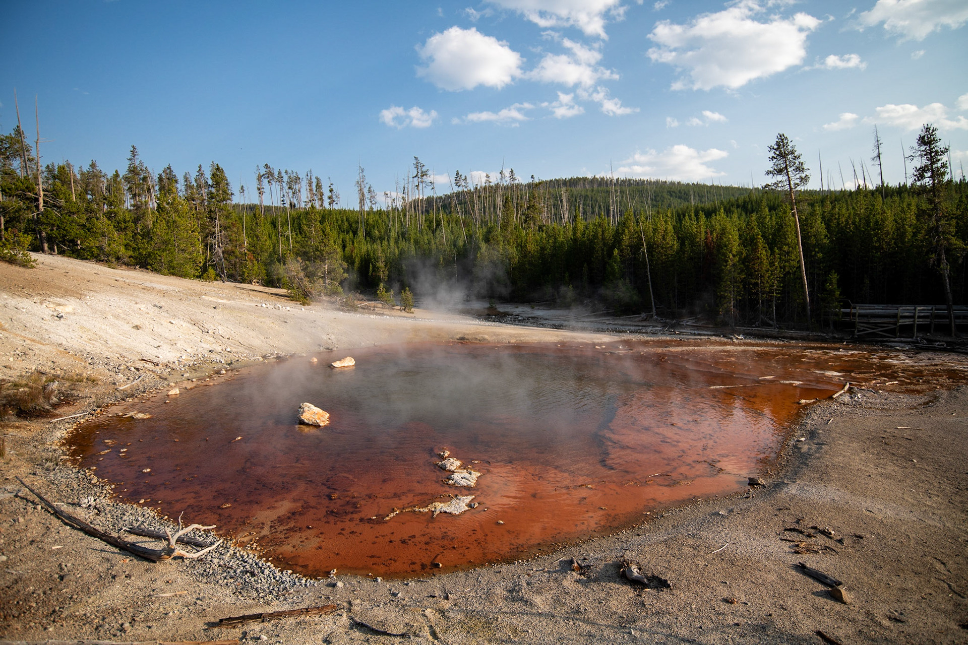 Echinus Geyser in Norris Back Basin