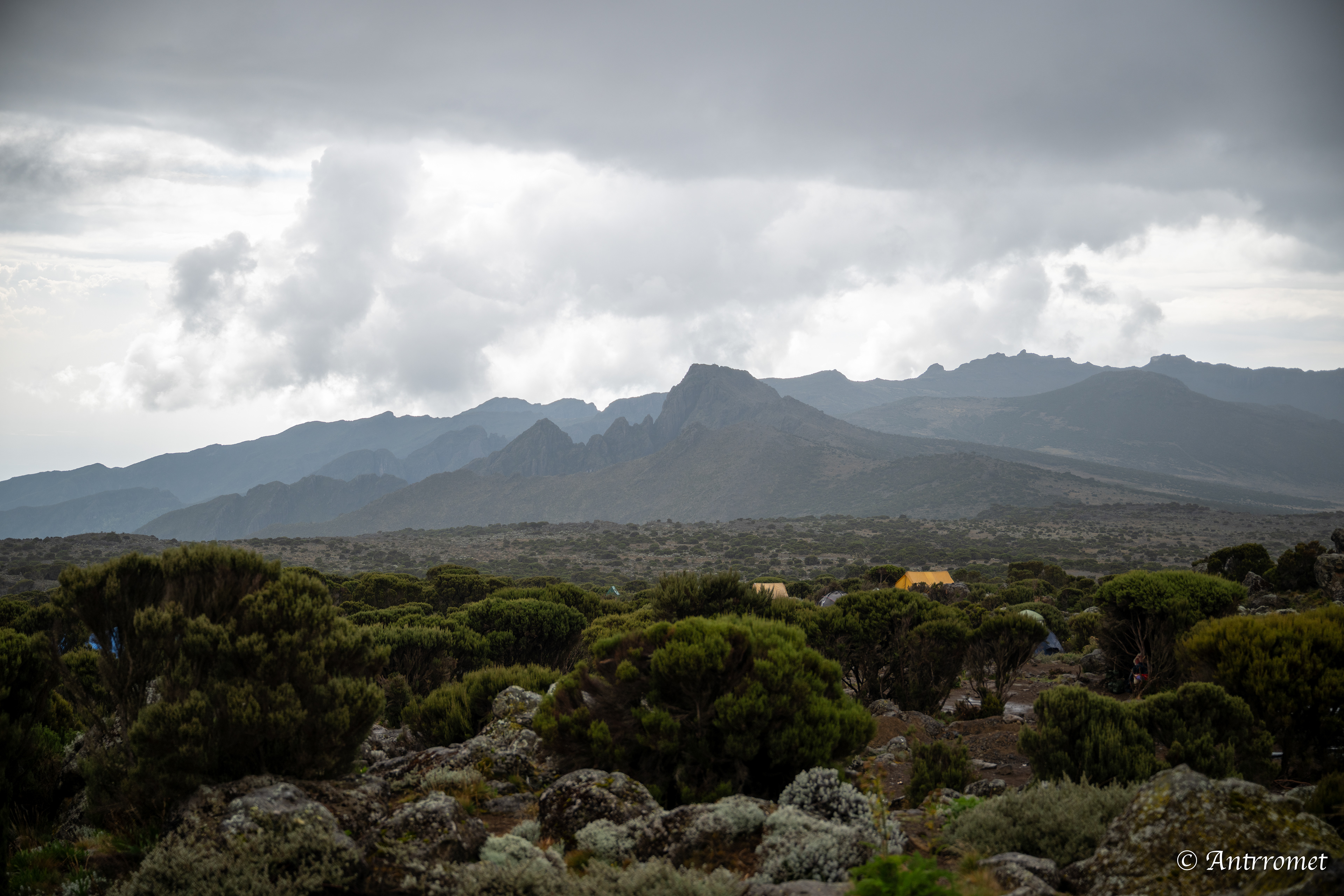 Day 1: Shira camp one