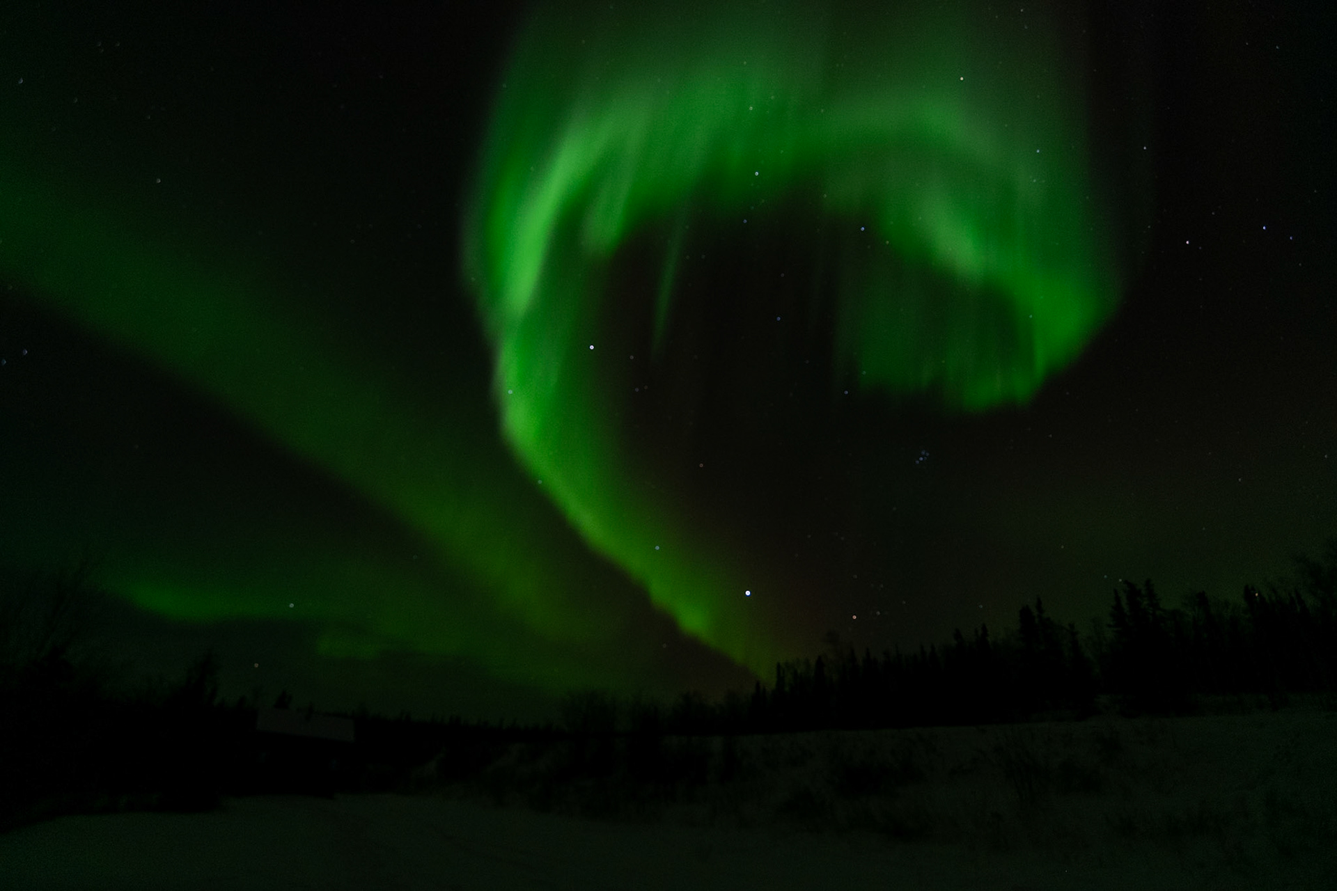Northern lights at Prosperous Lake, Ingraham Trail