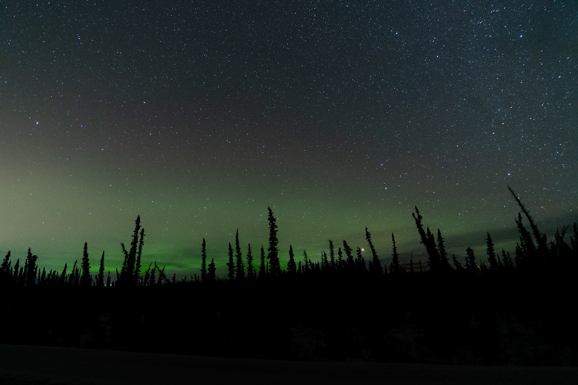 Somewhere on Annie Lake road, Whitehorse