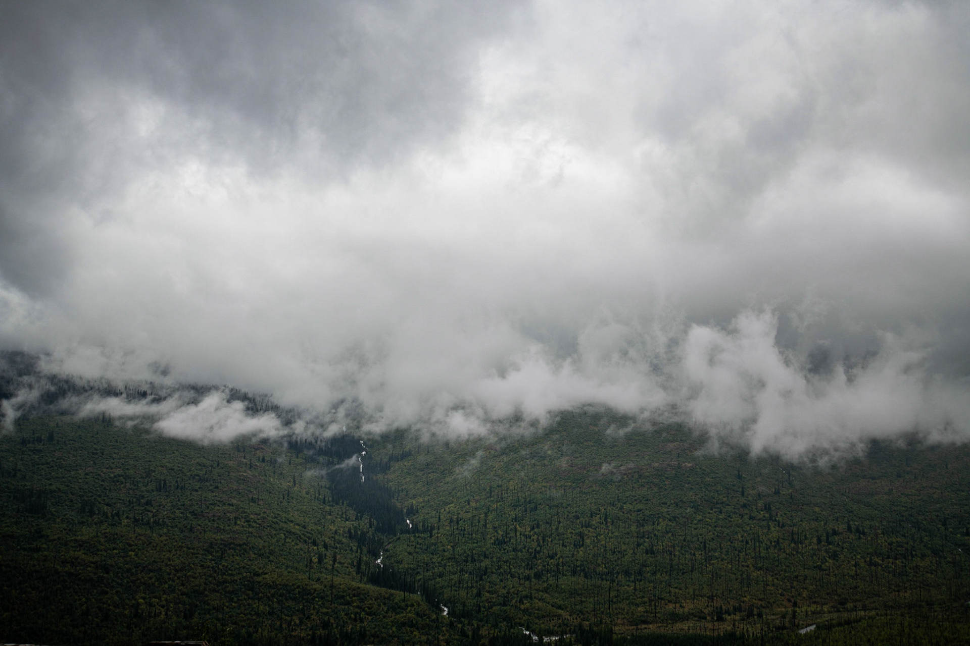 View from the Loop Trailhead