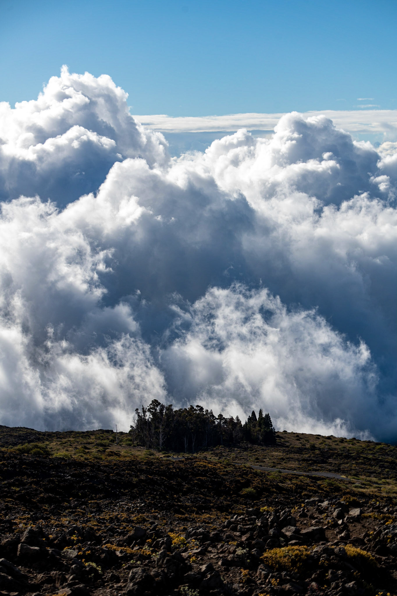 Haleakala National Park