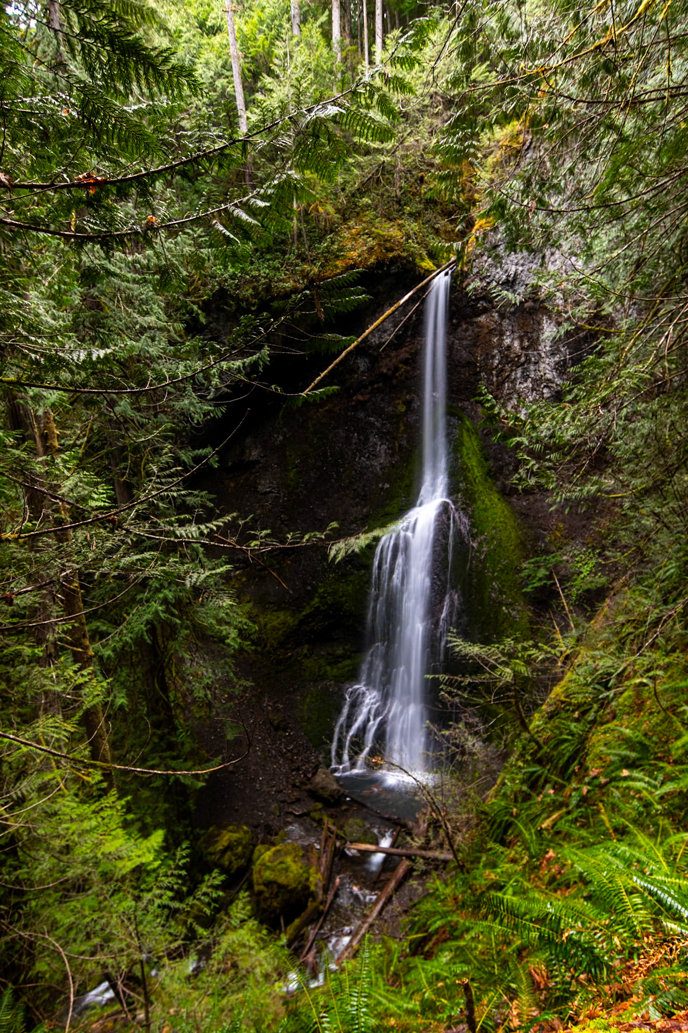 Marymere Falls