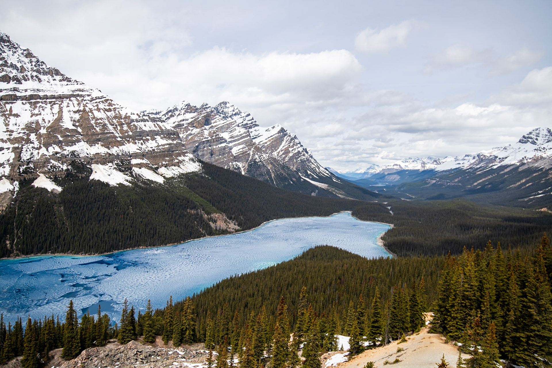 Peyto Lake